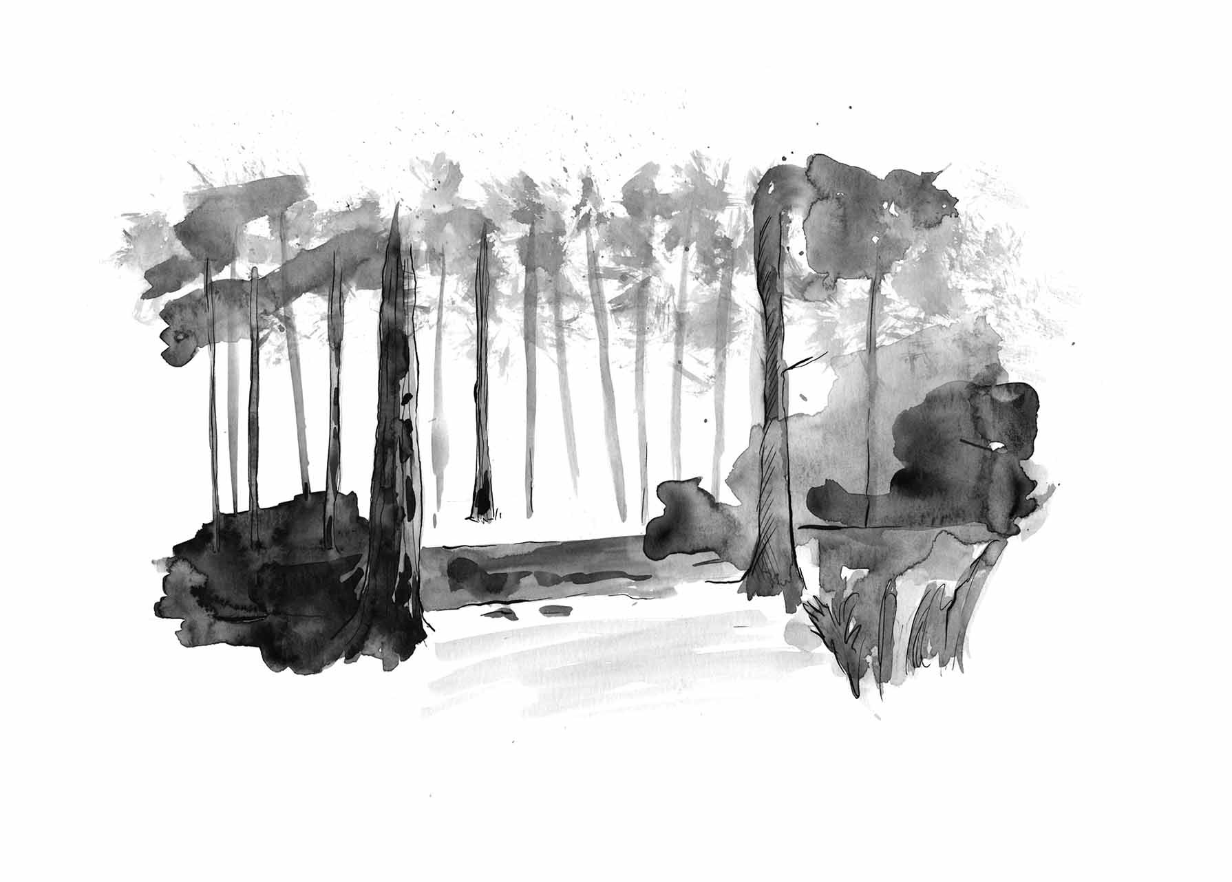 Landschap #12 (2012) - inkt & aquarelverf - 420 mm B x 297 mm H