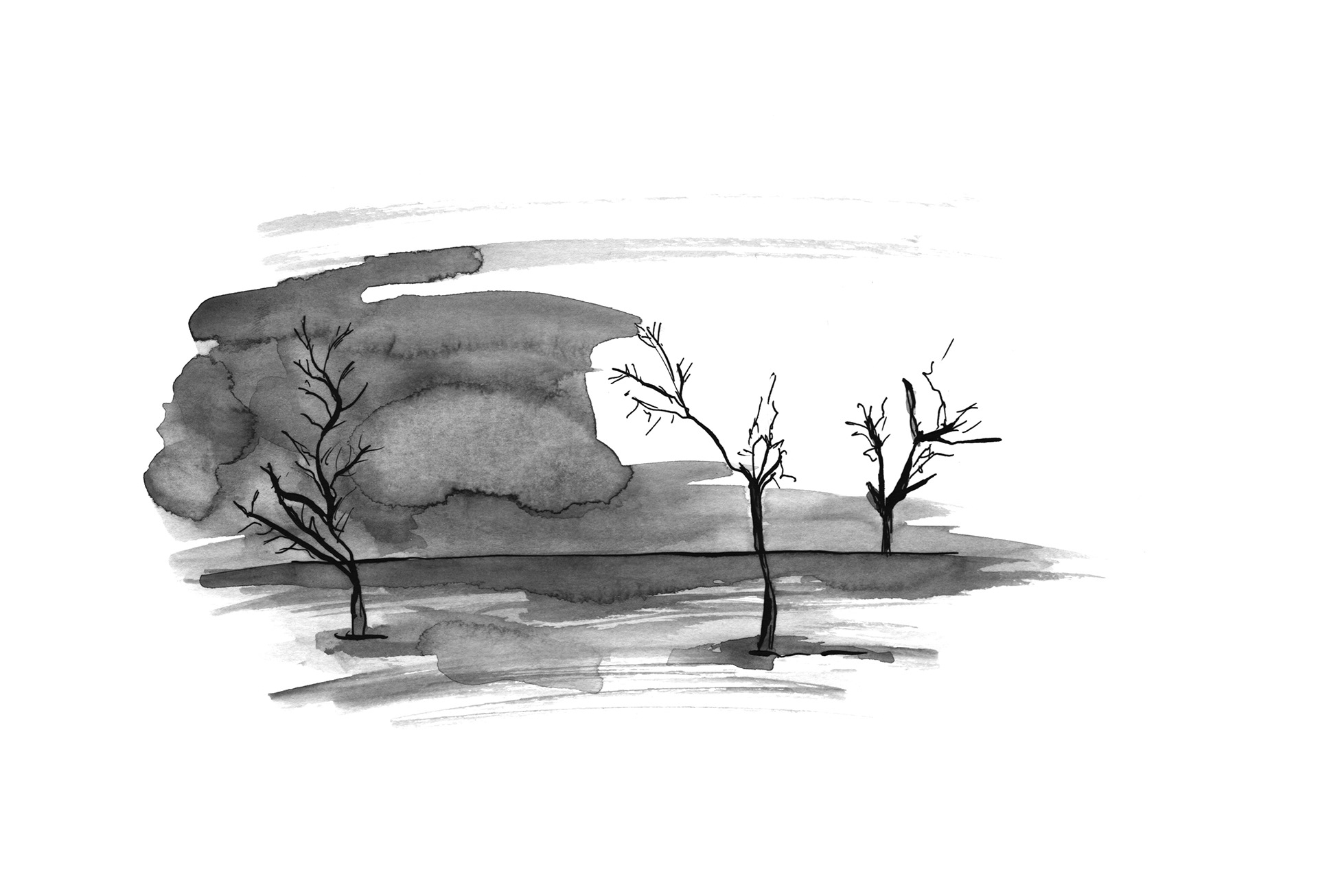 Landschap #9 (2012) - inkt & aquarelverf - 420 mm B x 297 mm H