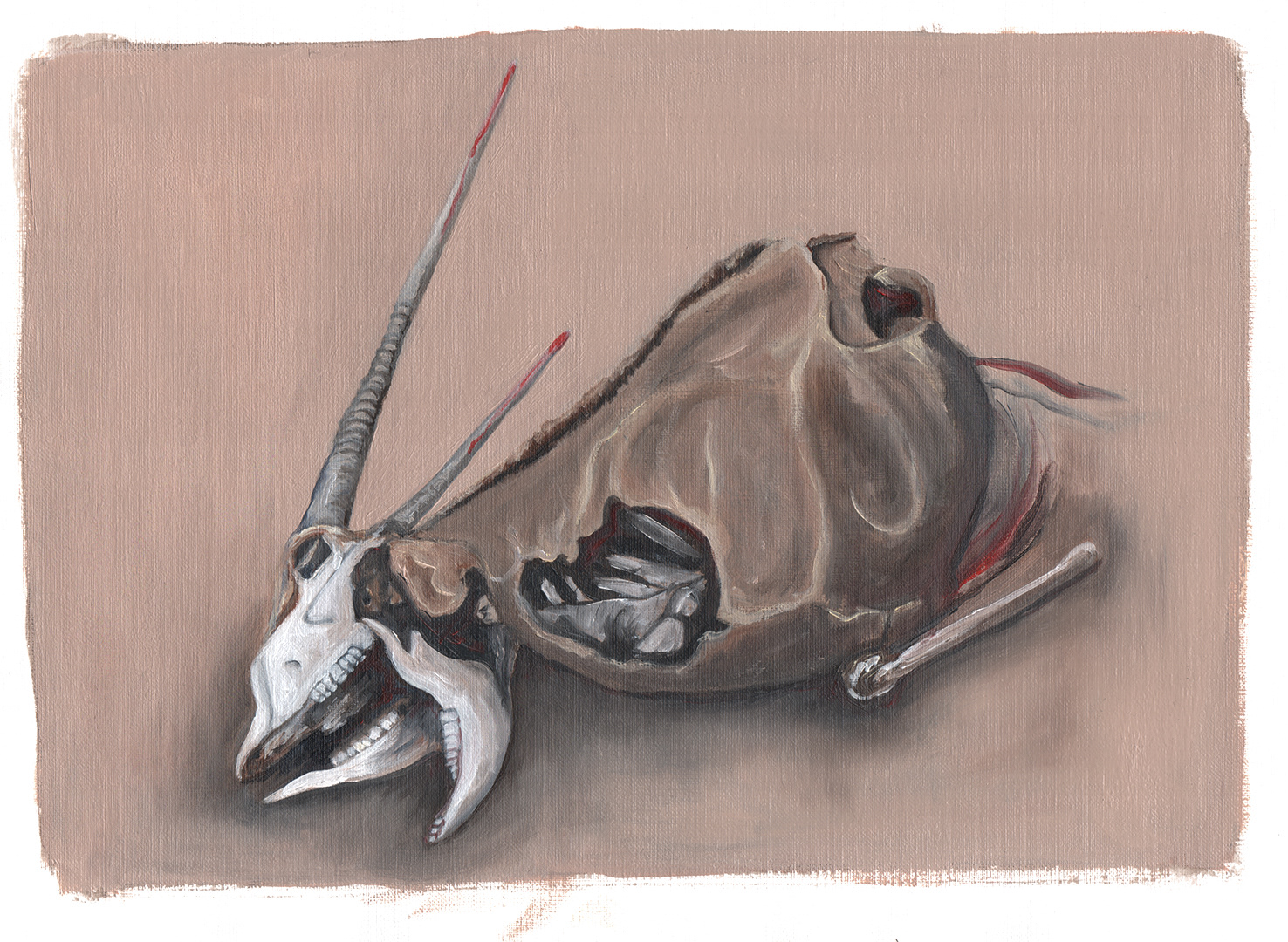 Gevonden in de Visrivierkloof (2020) - olieverf op papier - 400 mm B x 300 mm H