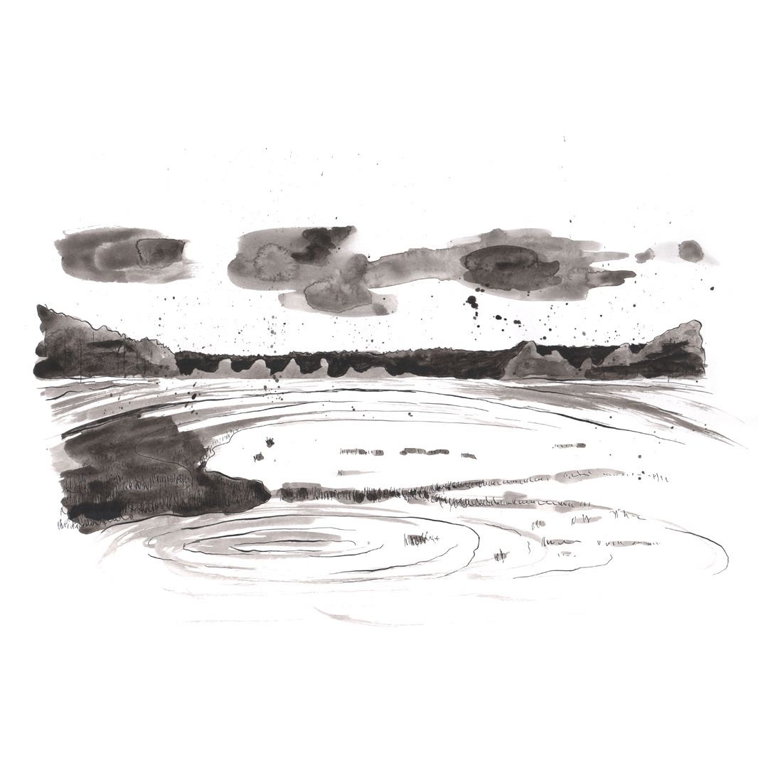 Merode #4 (2024) - inkt & aquarelverf - 420 mm B x 297 mm H