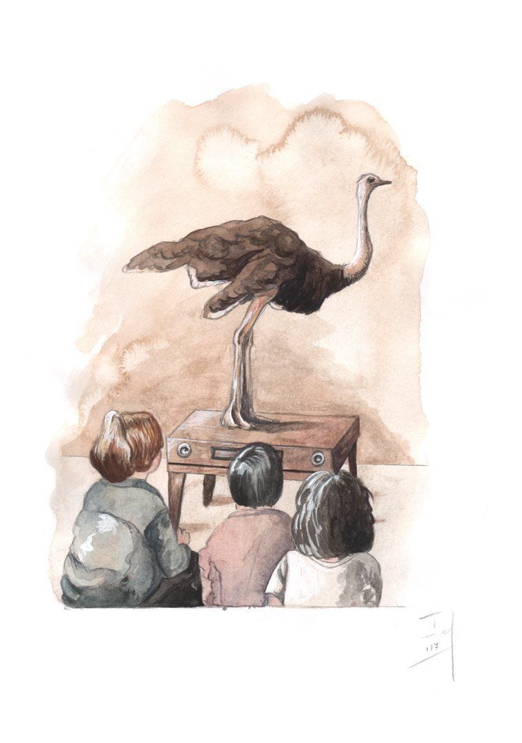 Niets te zien (2017) -grafietpotlood, aquarelverf, aquarelpotlood & inkt - 210 mm B x 297 mm H