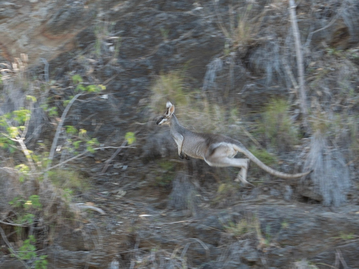 2019 Australia Visit