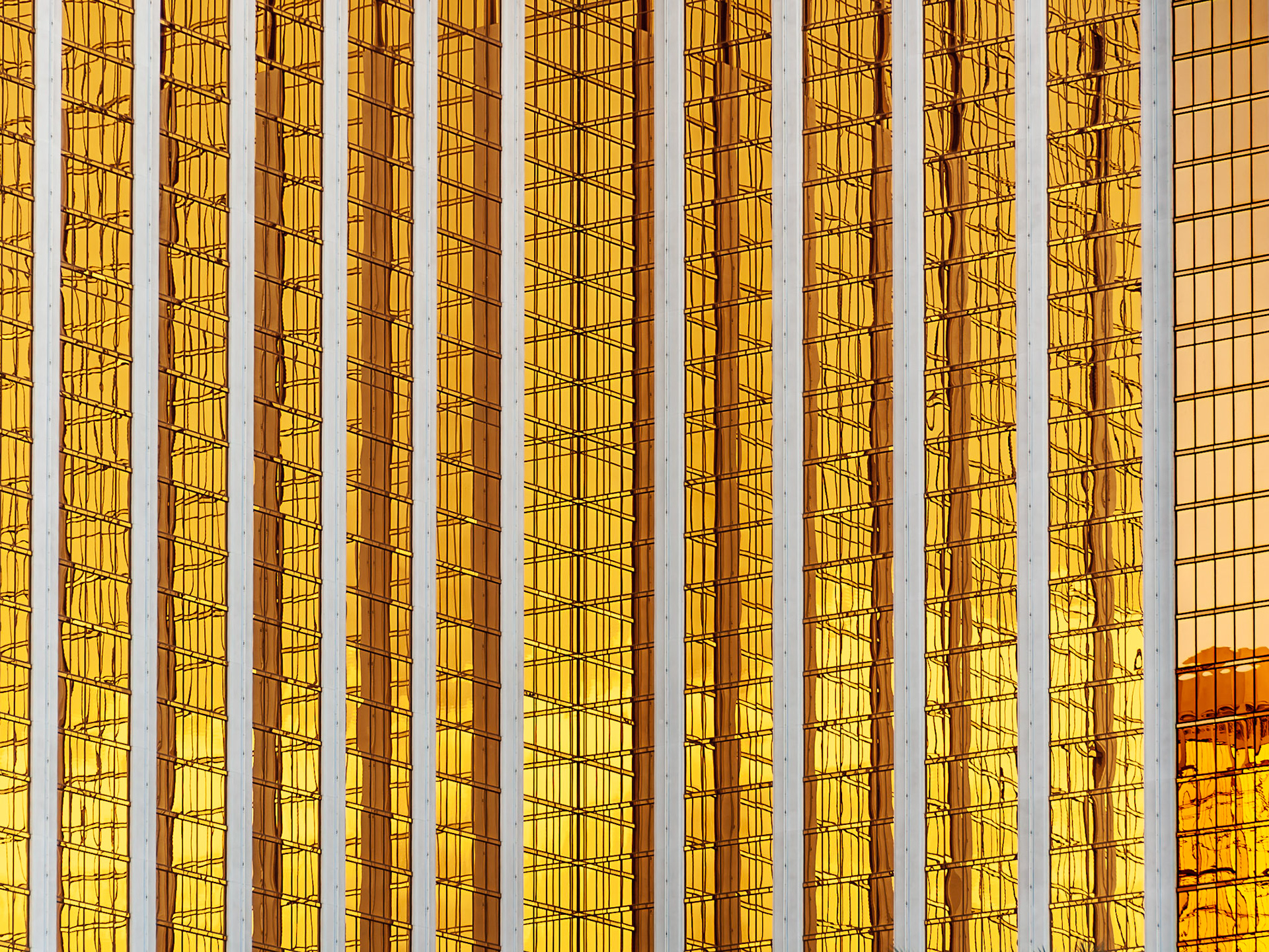Golden Scaffold