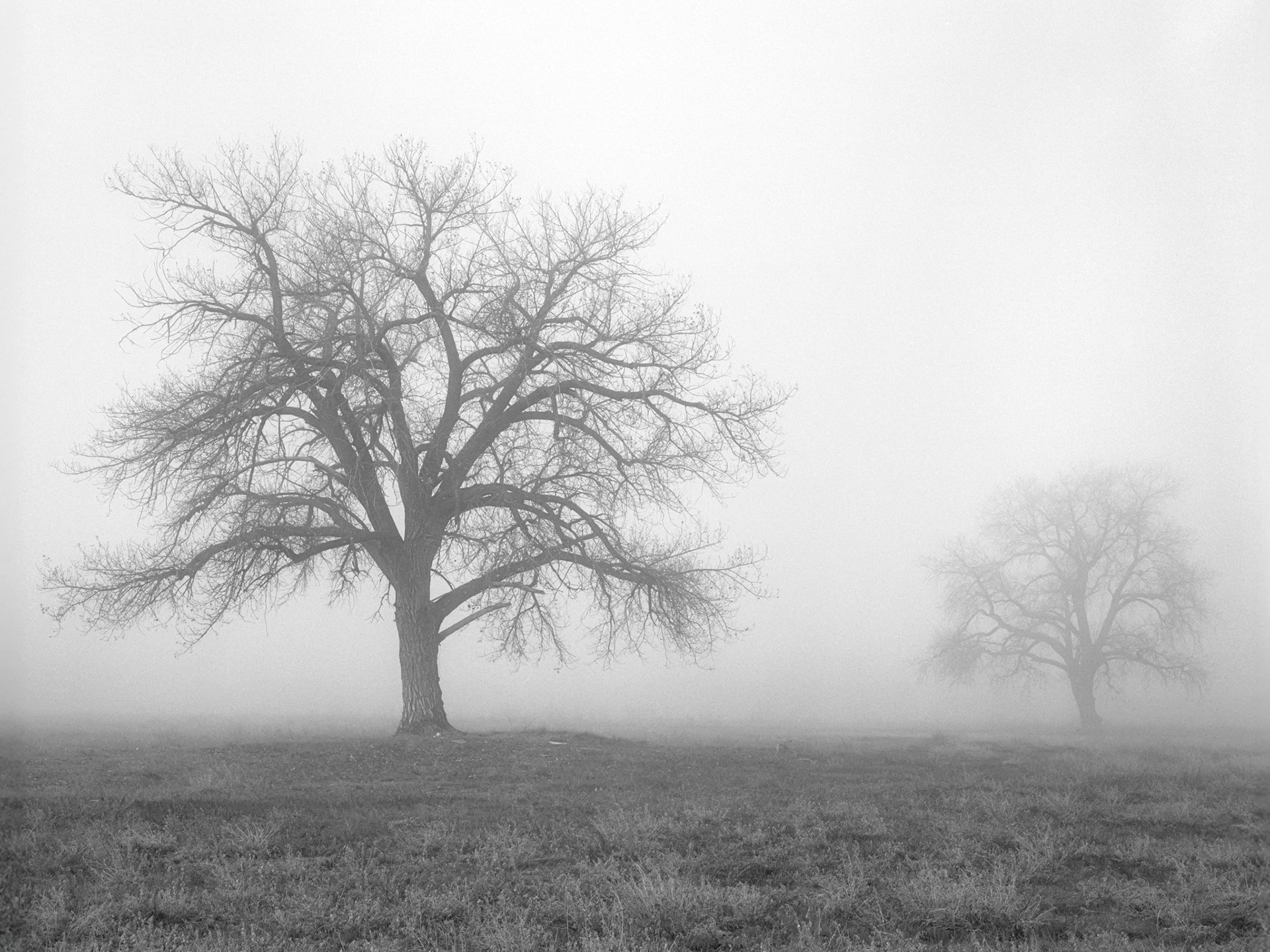 Shapes in Silence