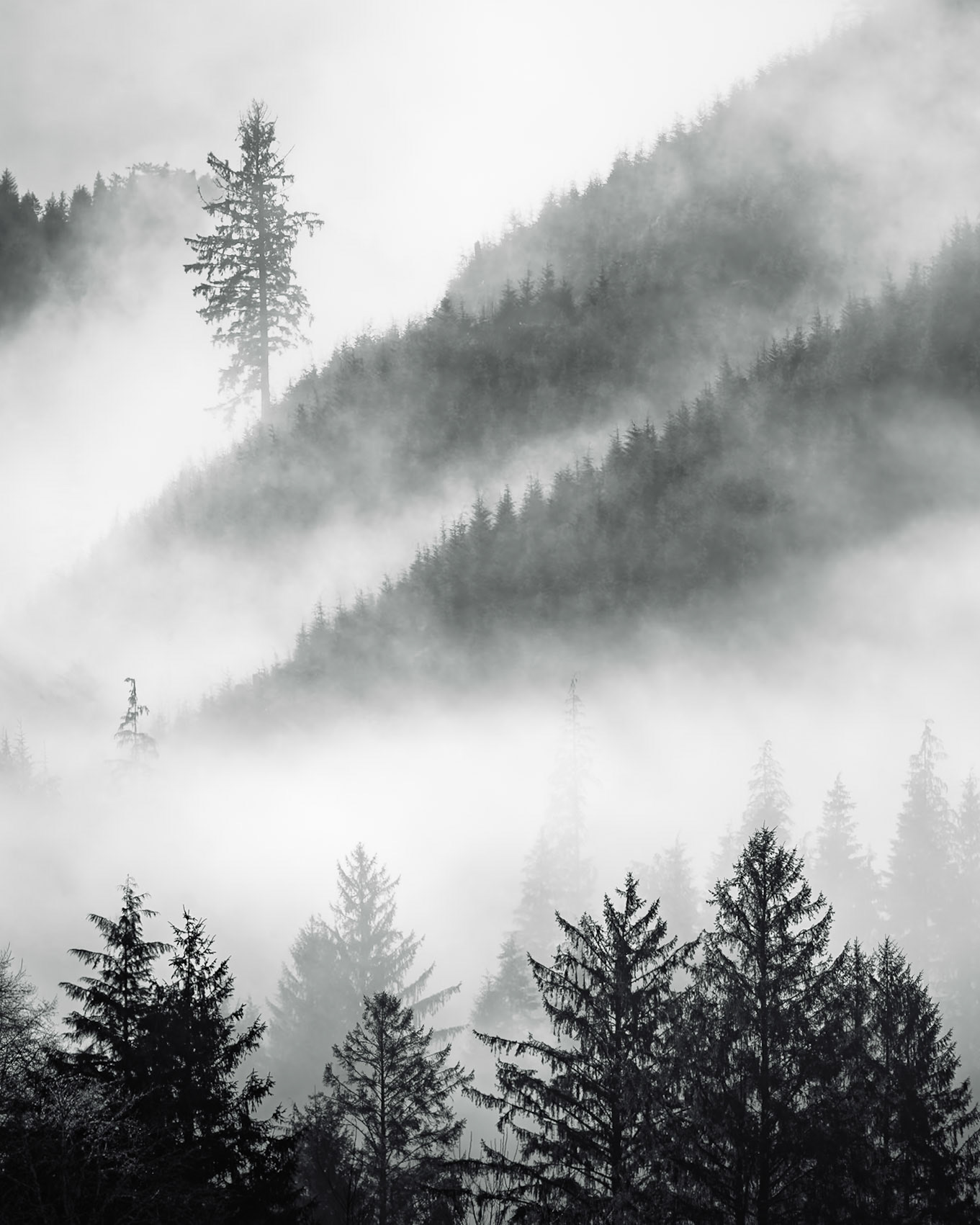 Ink and Mist