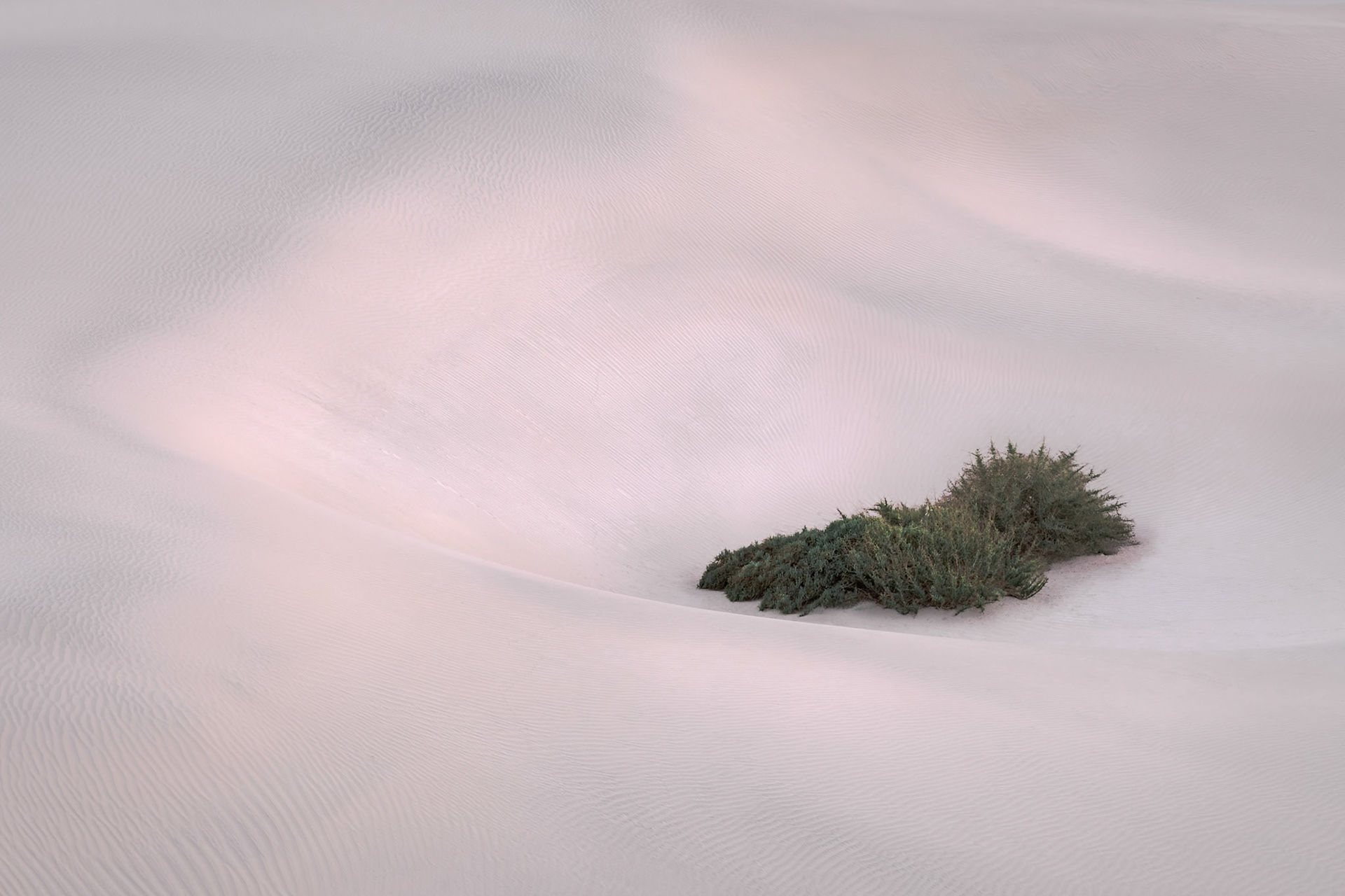 Dune Basin