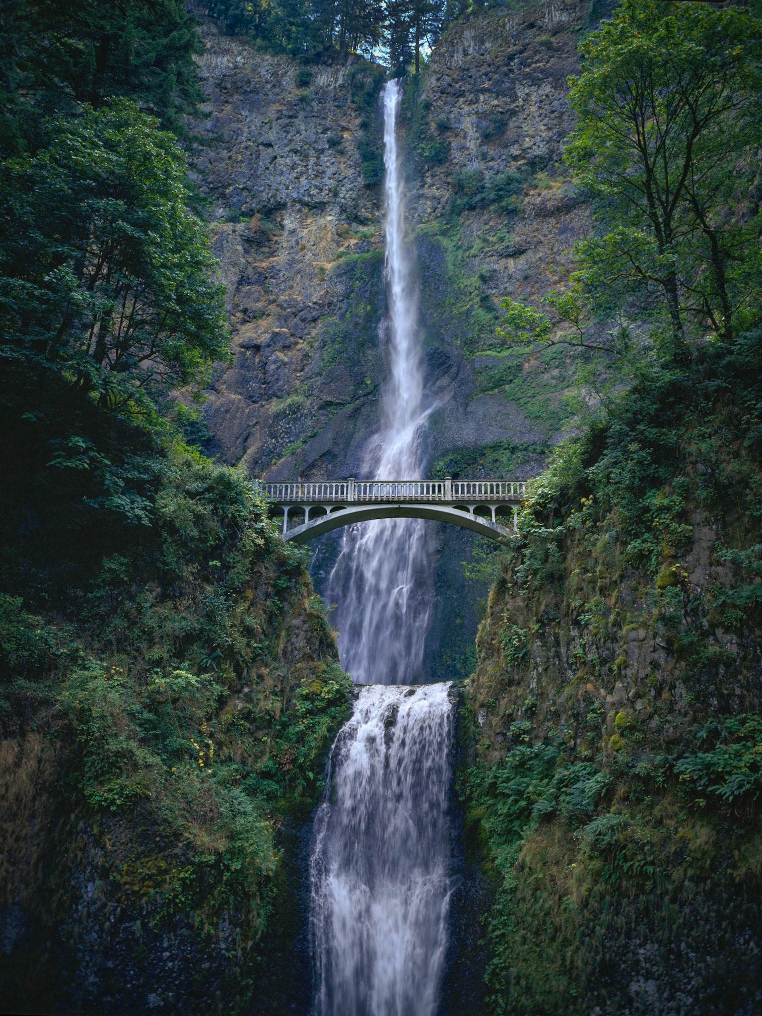 Twin cascades split by Benson Bridge at Multnomah Falls.