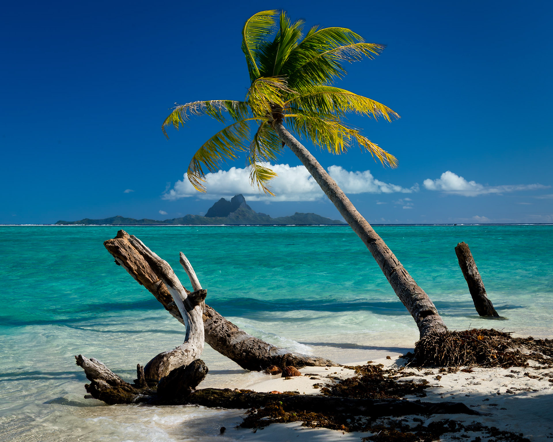 Leaning into Paradise