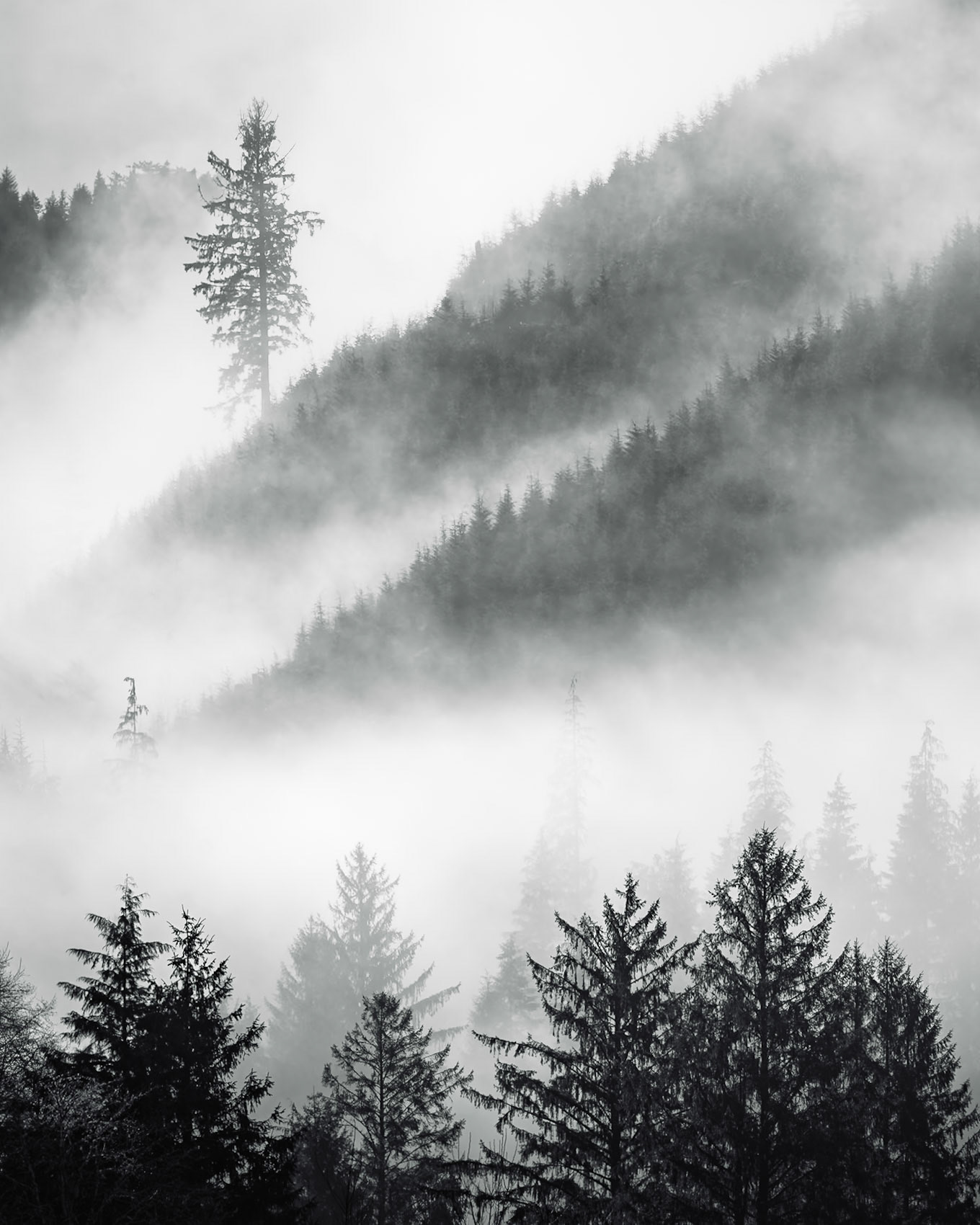 Ink and Mist