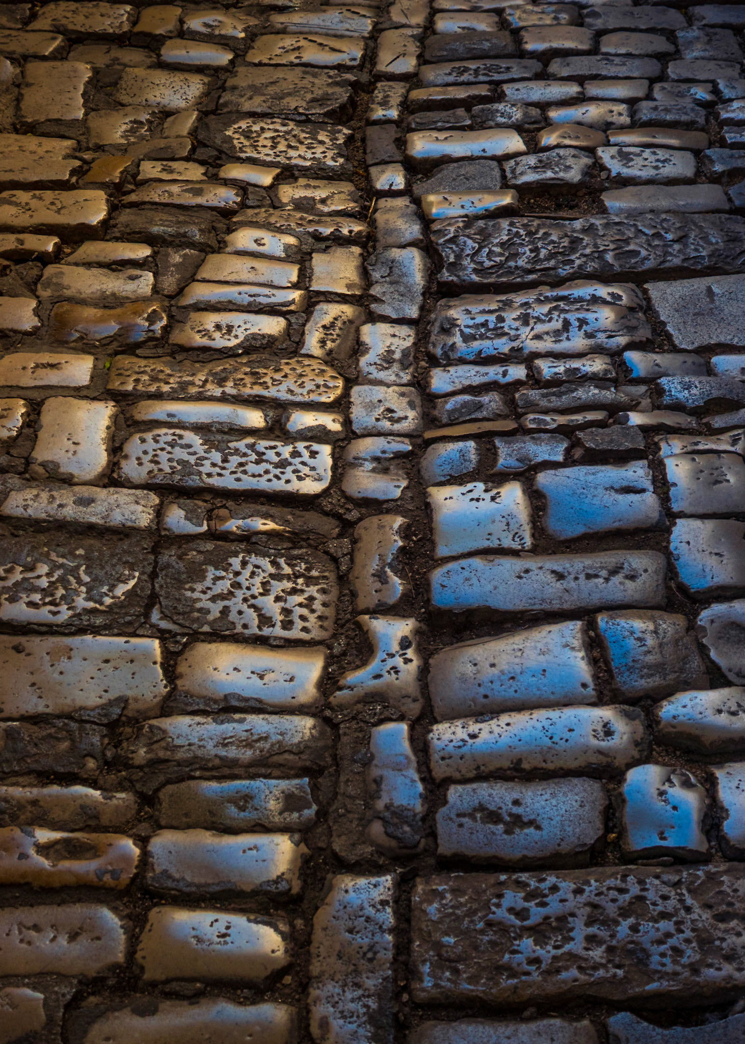 An ancient street shimmers in reflected gold and blue, its polished stones tracing the centuries beneath.