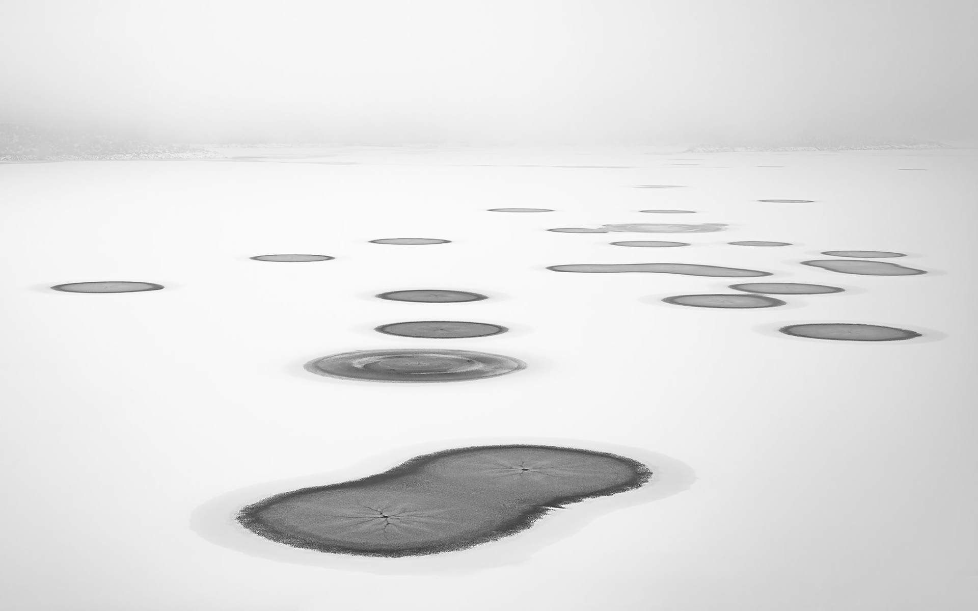 Winter Dreamscape