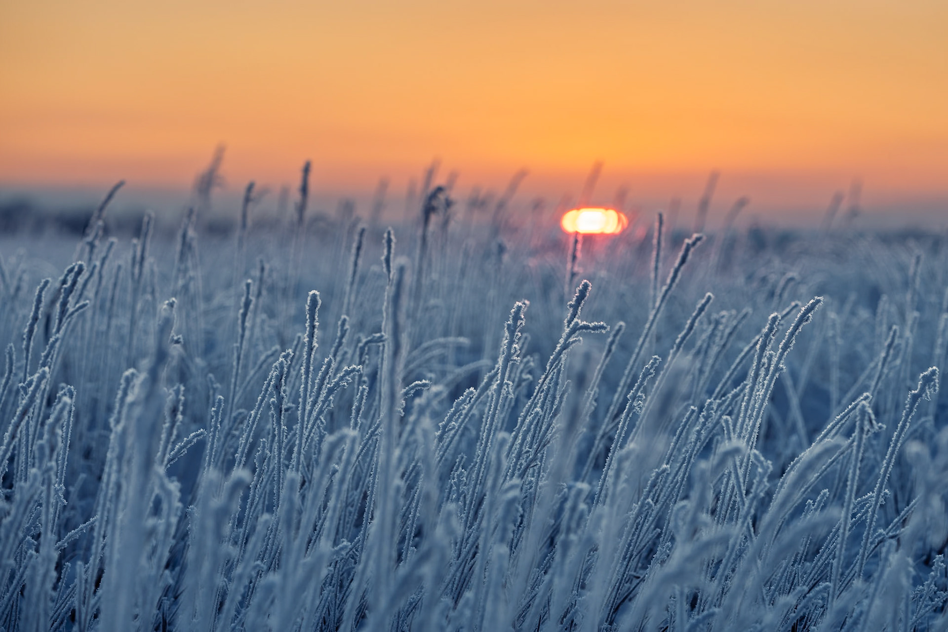 Before the Thaw