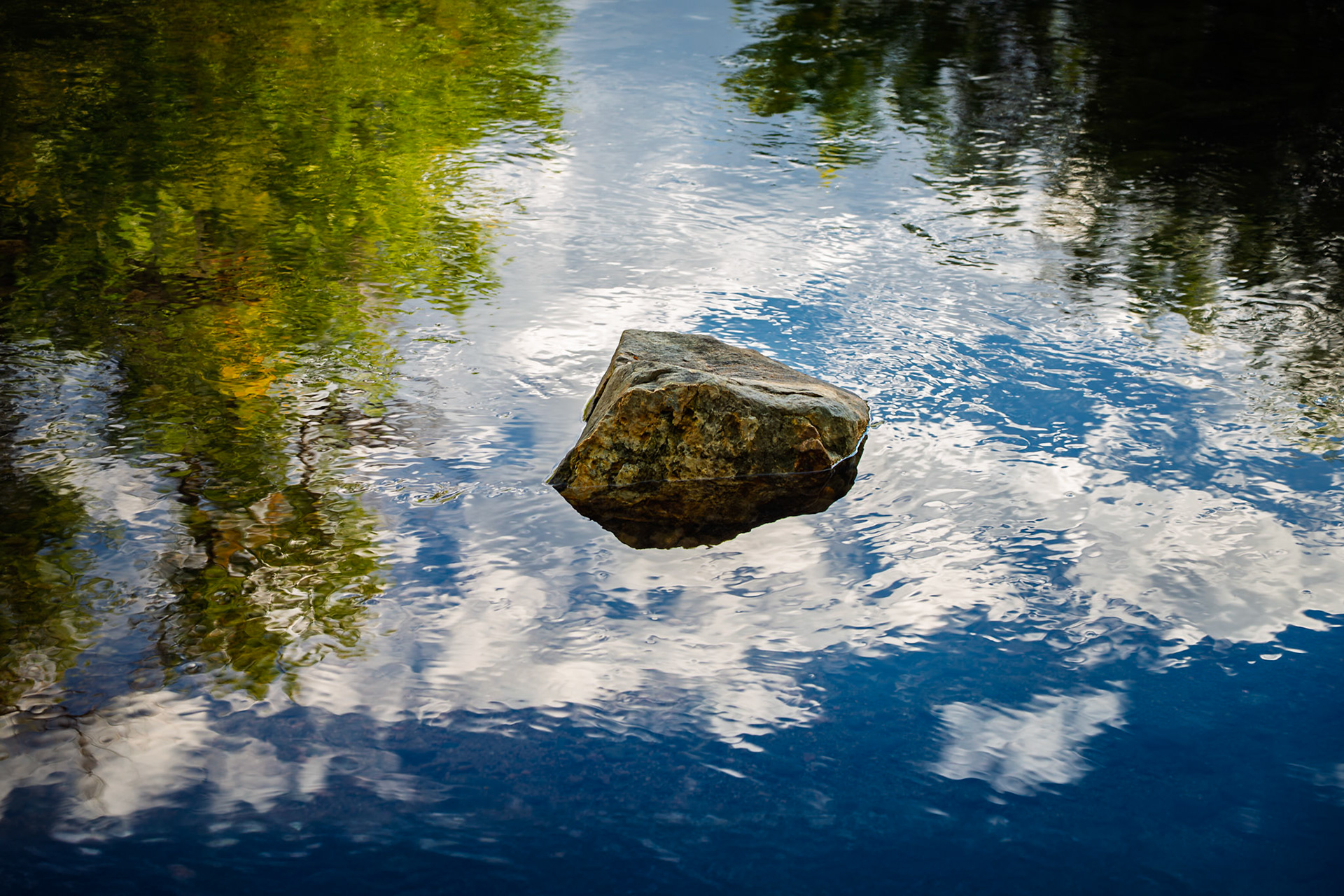 A solitary rock floats in the mirrored surface of the Poudre River, reflecting trees and clouds in painterly abstraction.
