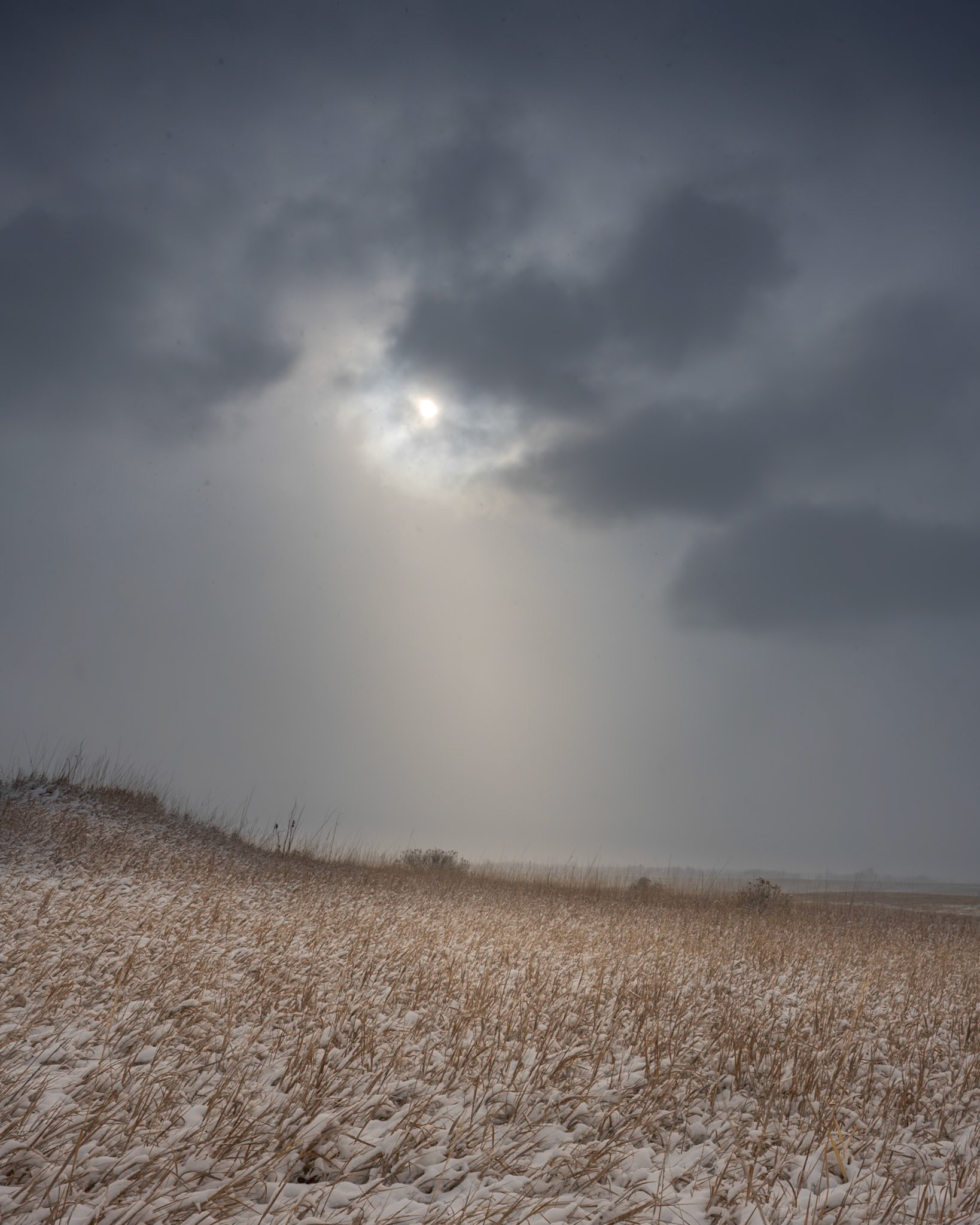 Low-angle winter sun adds glow to frozen landscape.
