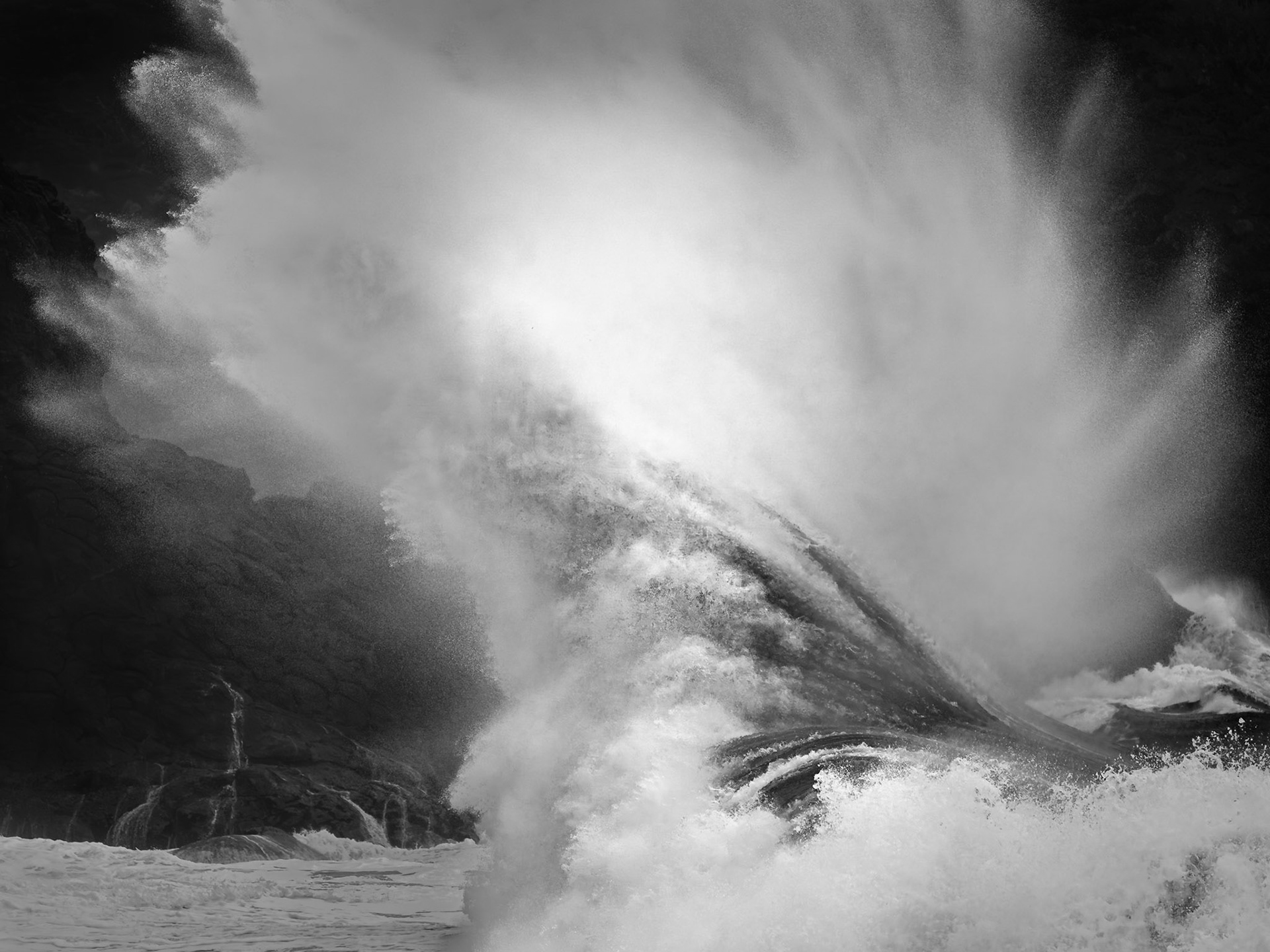 Fantail Fury