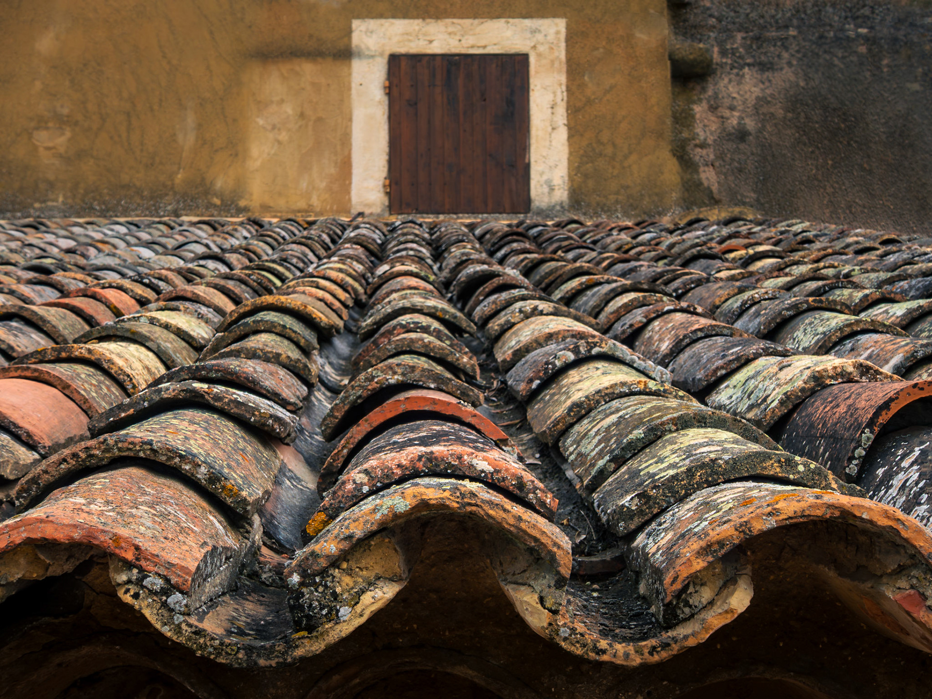 A weathered clay tile roof  provide a colorful rhythm of form.