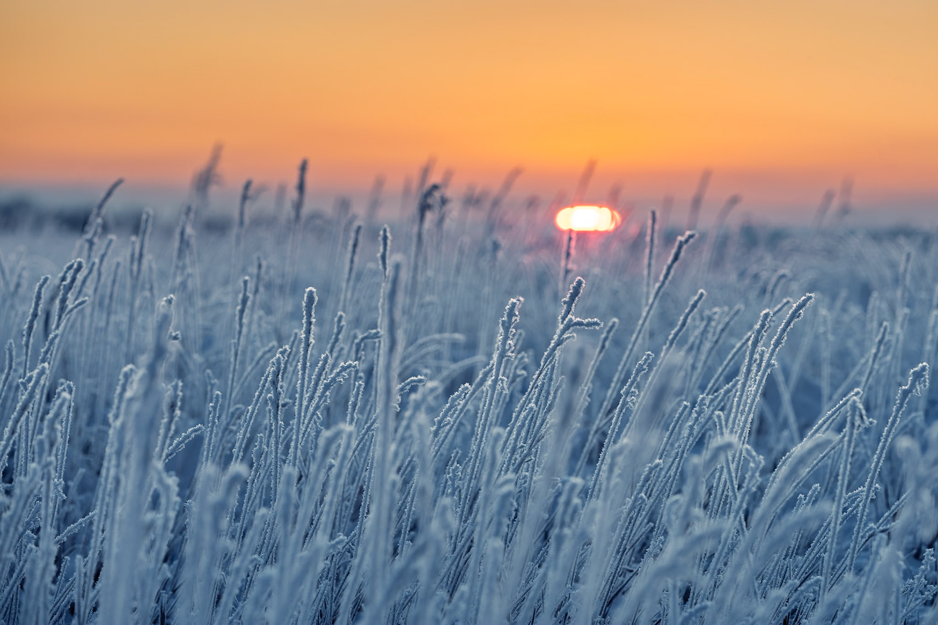 Before the Thaw