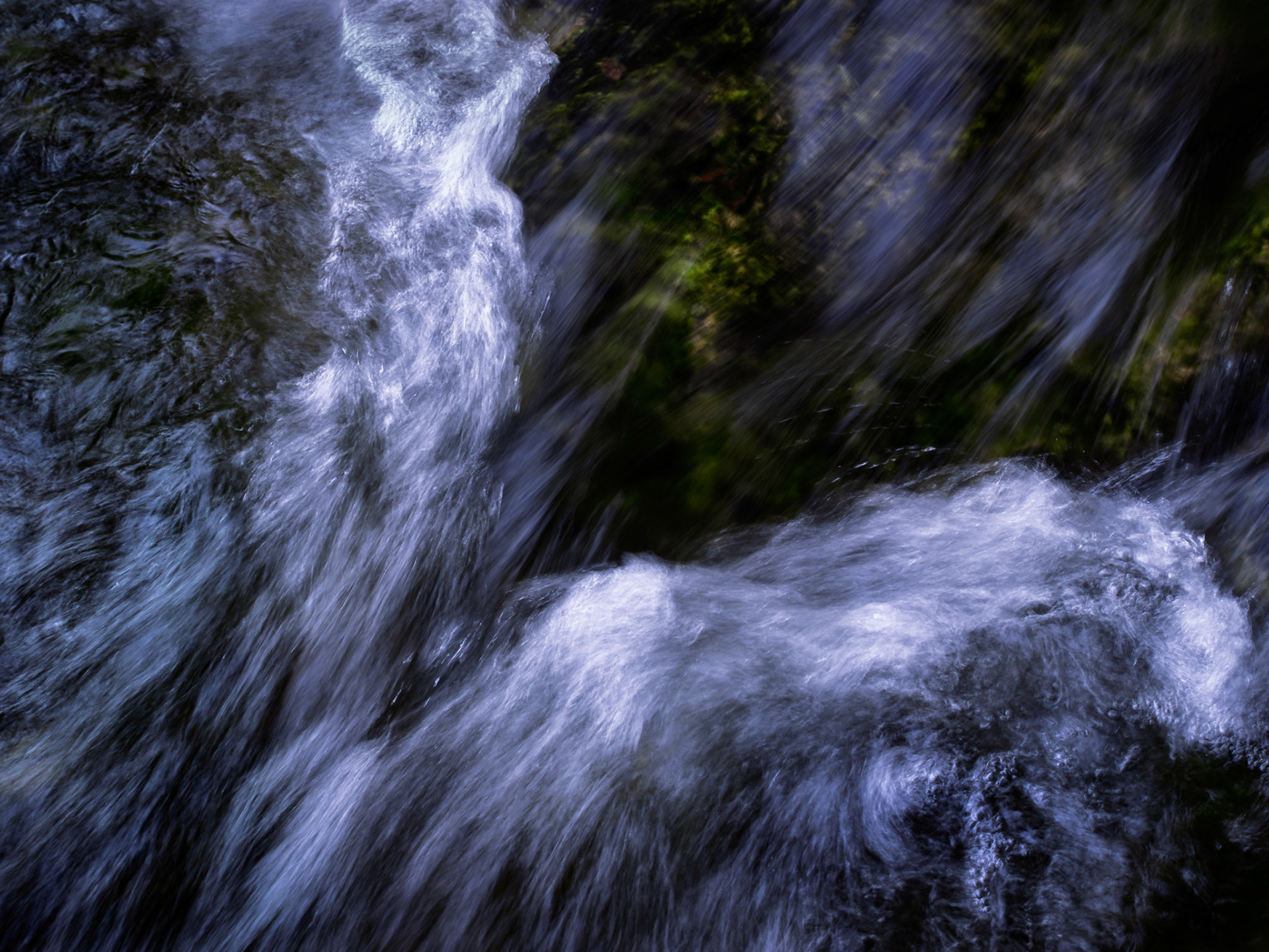 Motion and texture play over dark stone in a silent, fluid ballet.