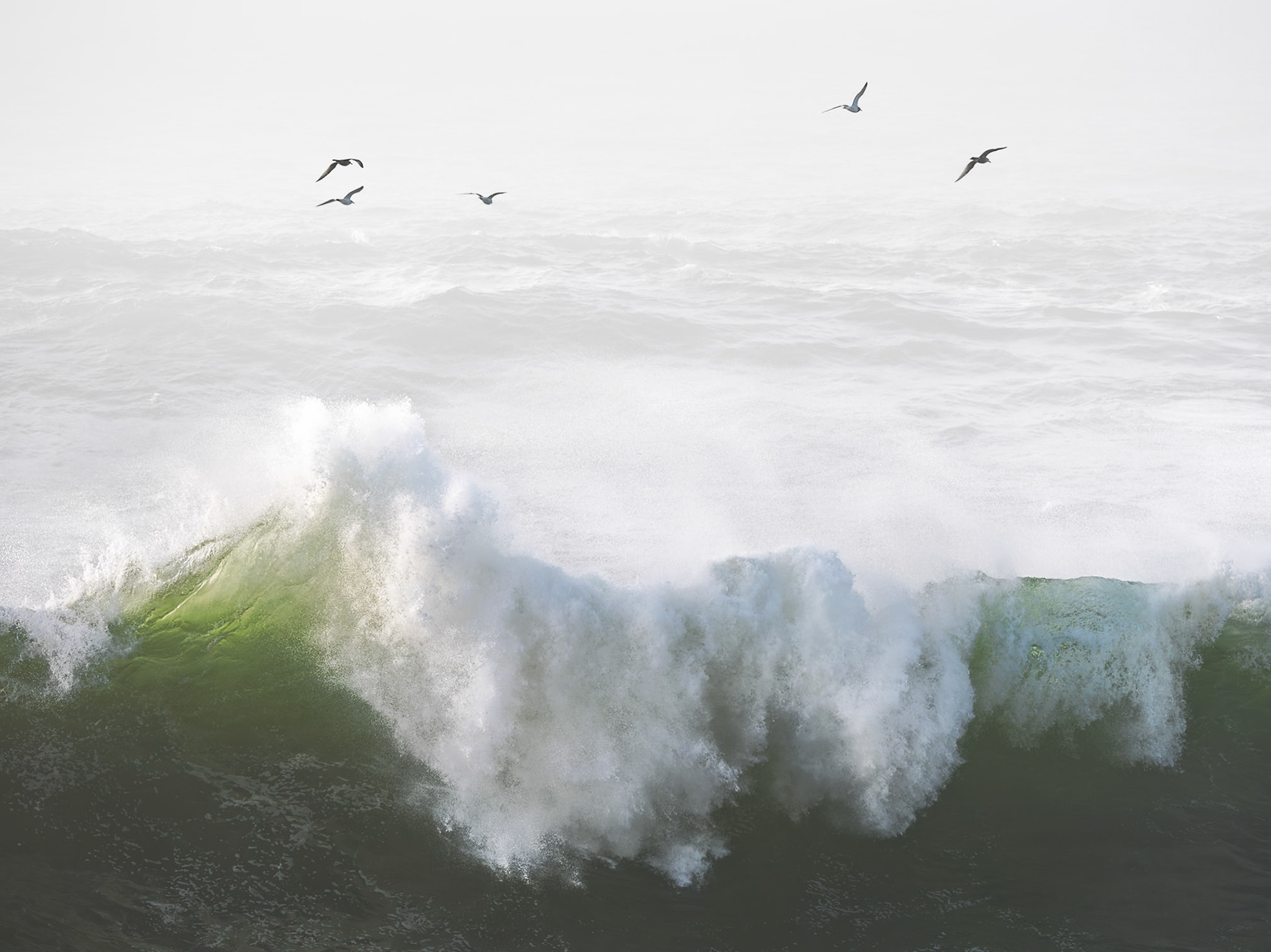 Riders on the Storm