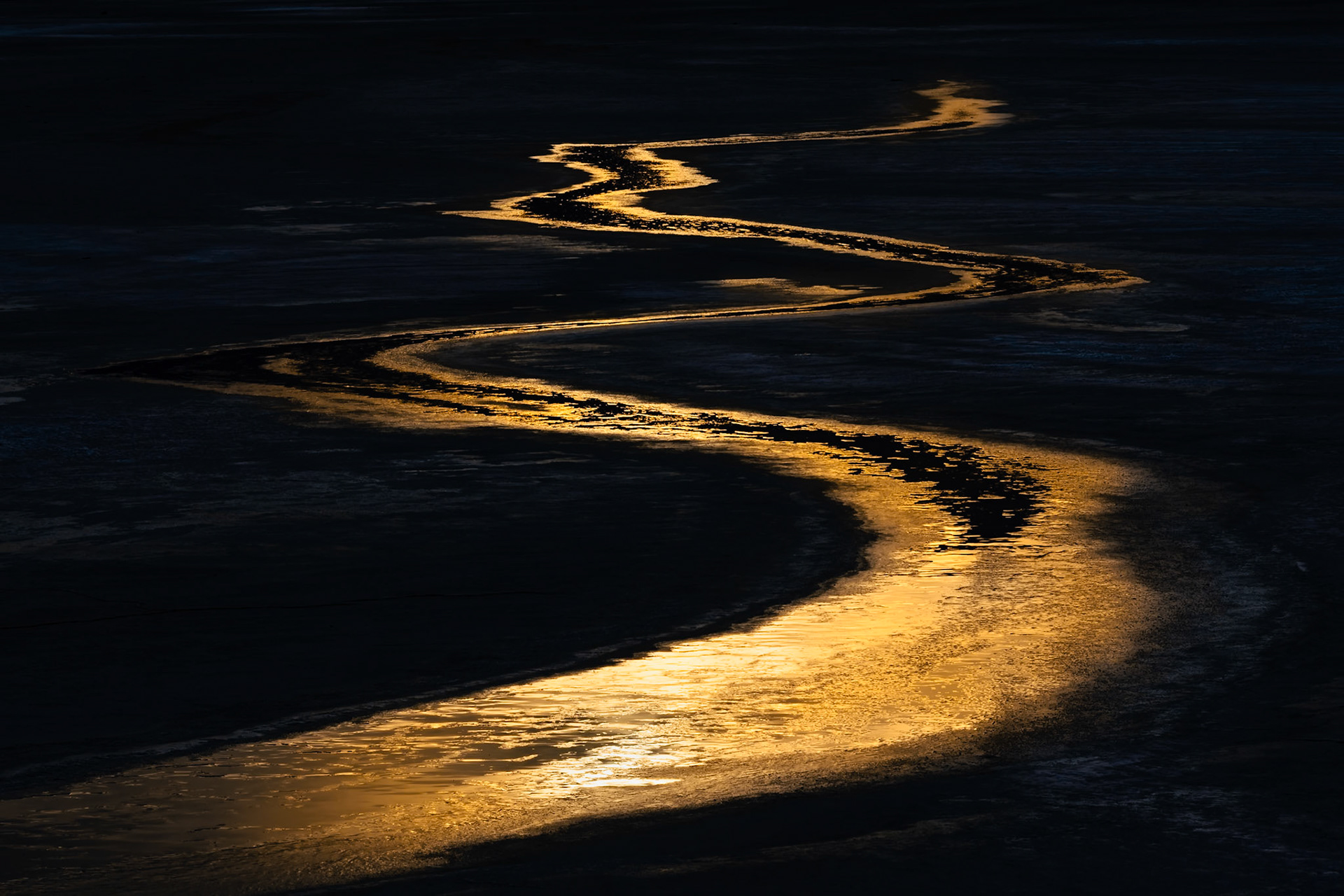 Brine Slither
