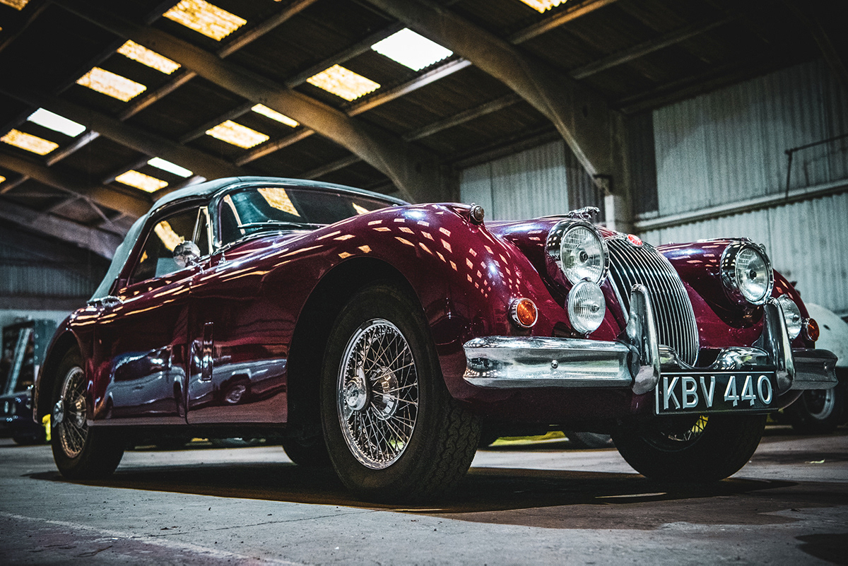 Jaguar