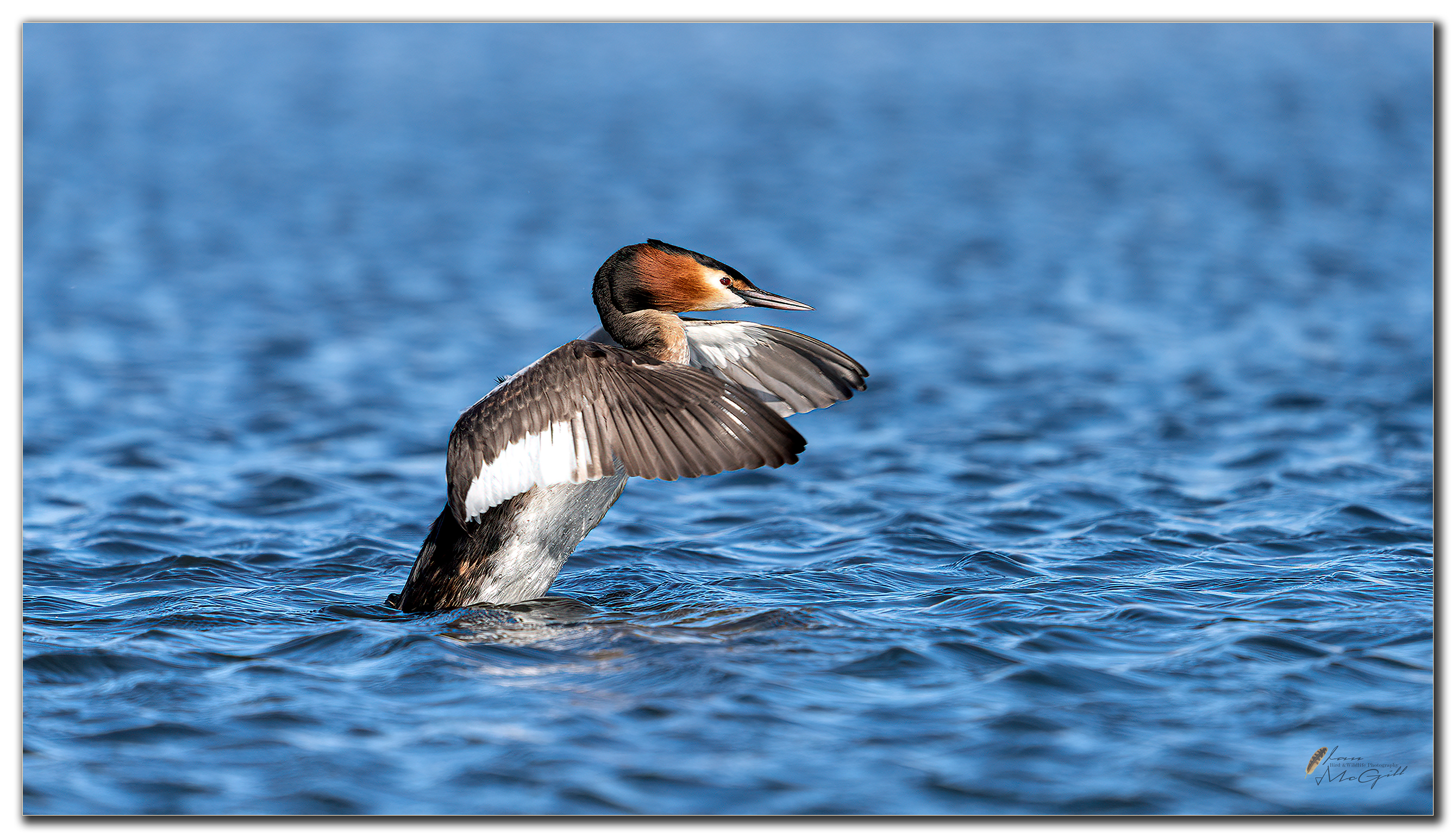 In a Flap