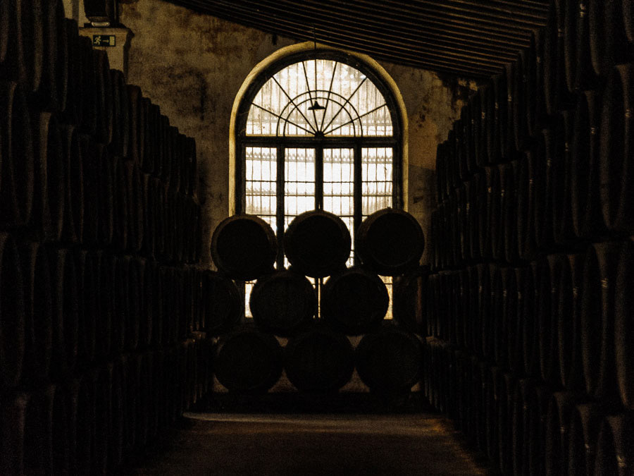 334 - Jerez de la Frontera (Espanha)