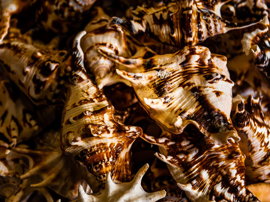 276 - Key West (EUA)