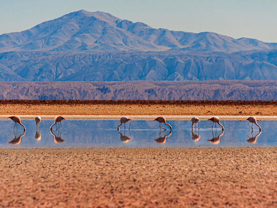 321 - Atacama (Chile)