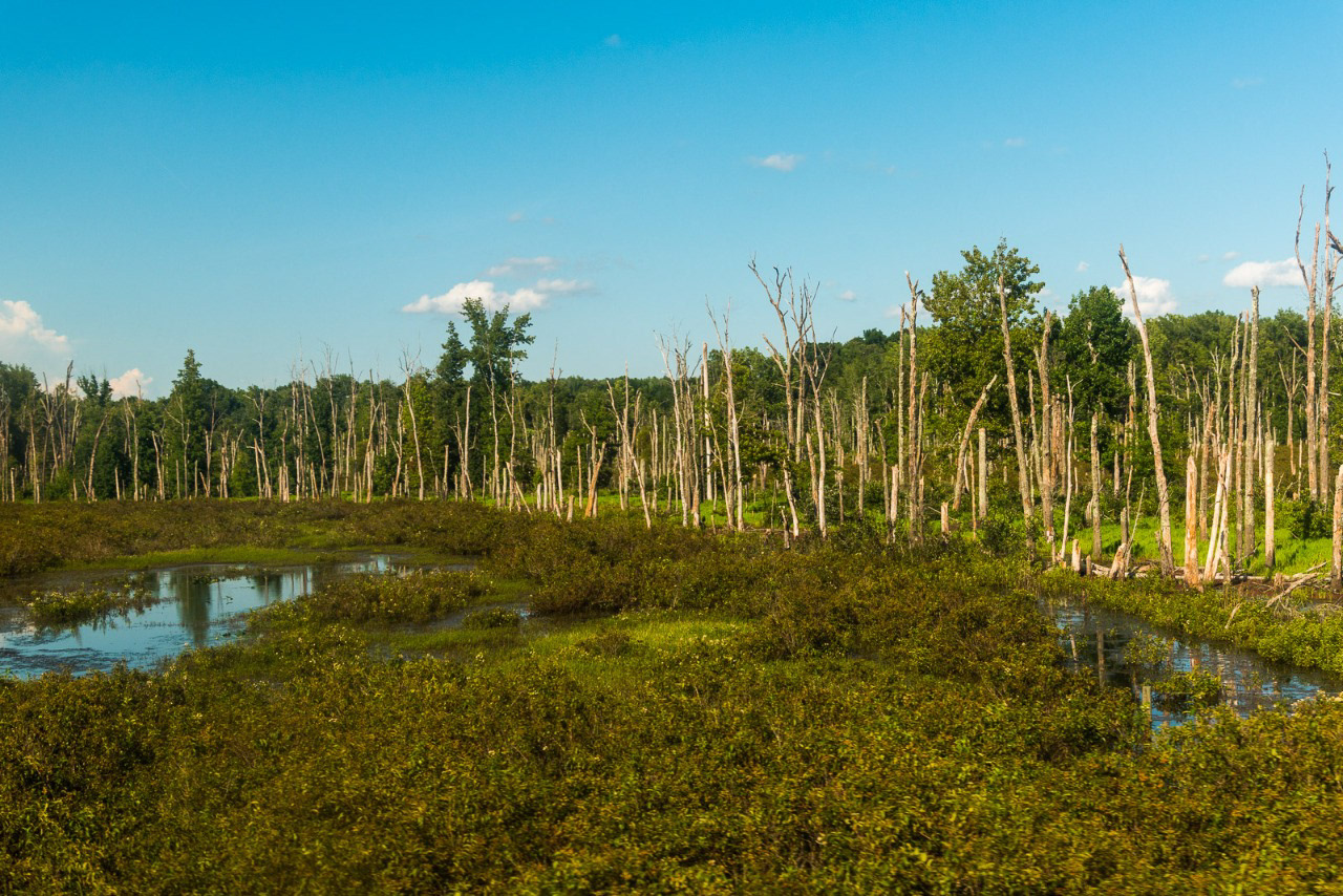 609 - Interior da Carolina do Sul (EUA)