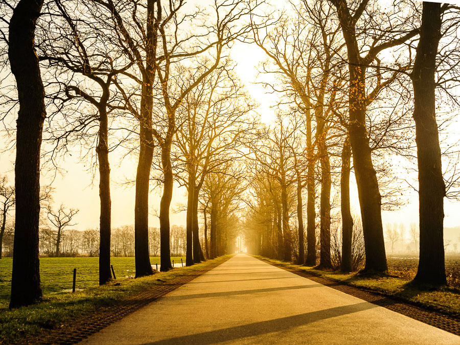 411 - Bruges (Bélgica)