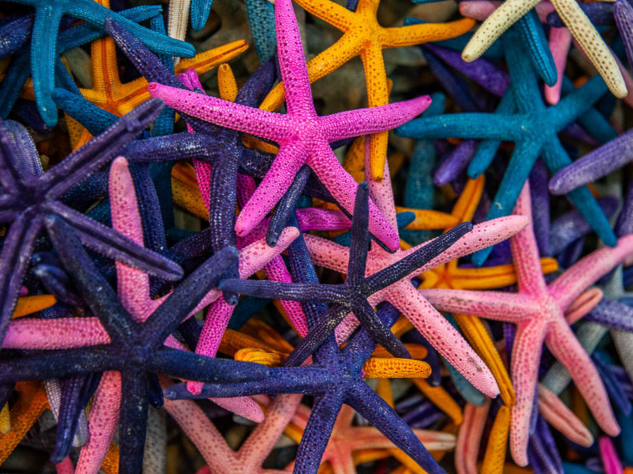 270 - Key West (EUA)