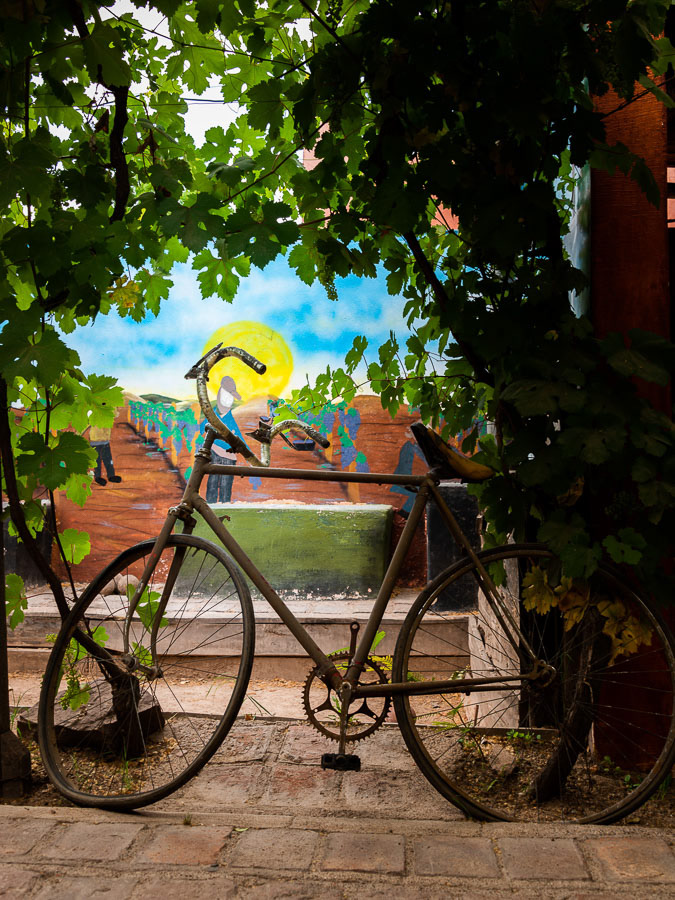 104 - Vinícola em Mendoza