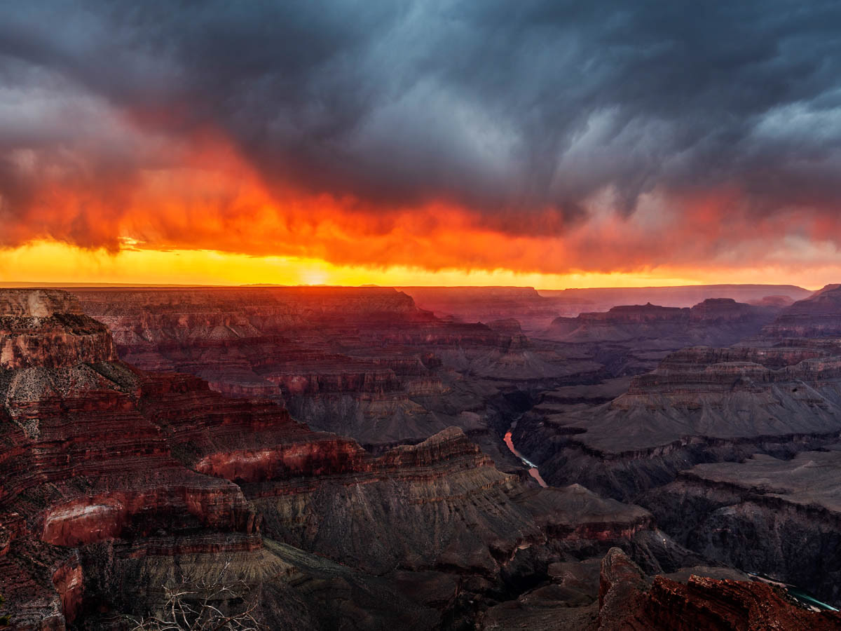 565 - Grand Canyon (Arizona)