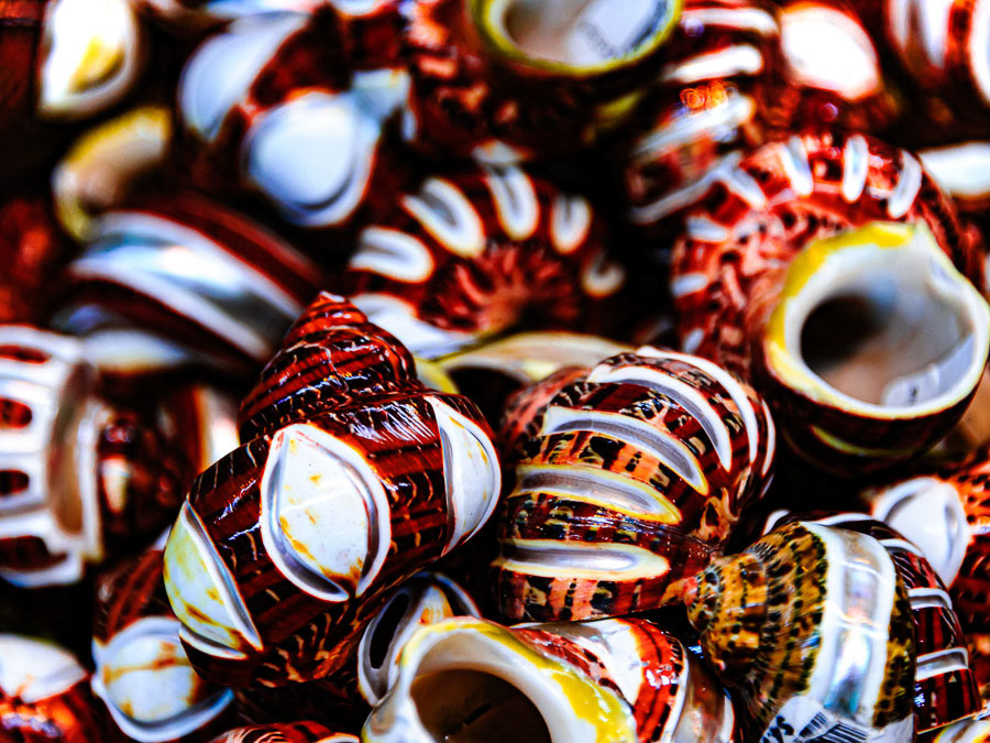 268 - Key West (EUA)