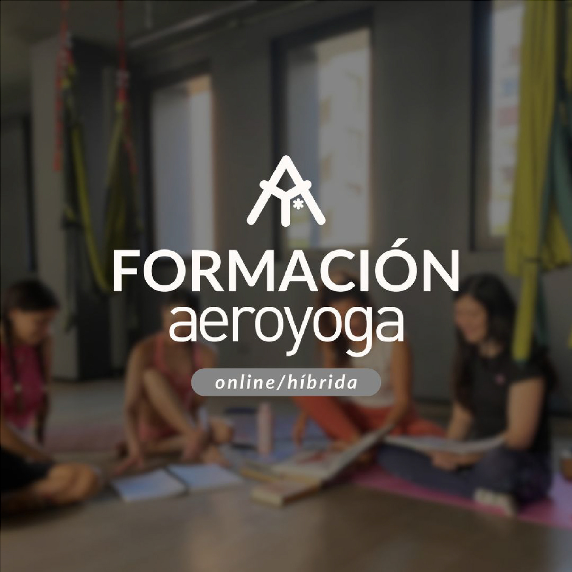 https://www.aeroyogaonline.com/formacion
