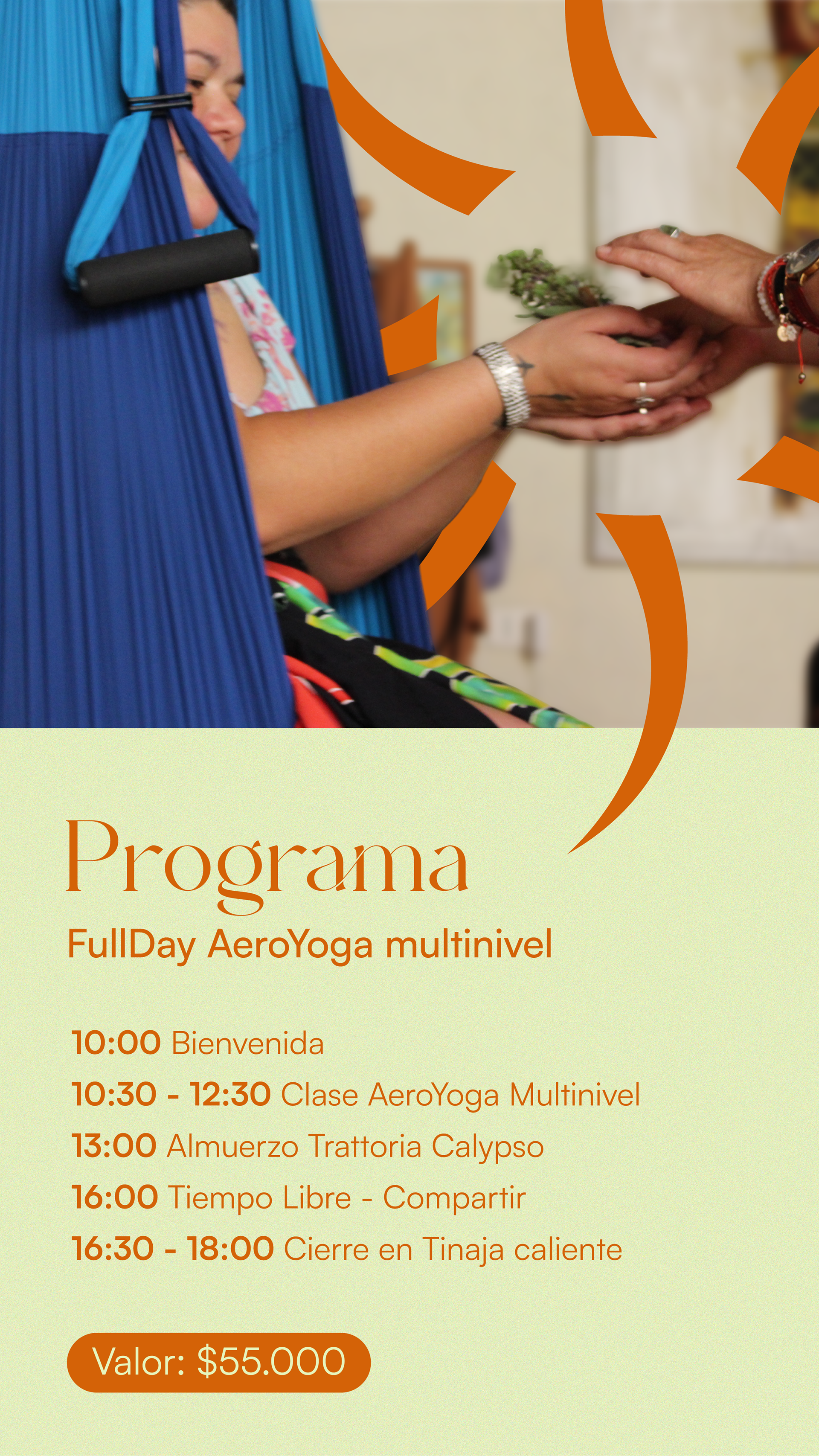 Sistema modular para presentar actividades, experiencias y contenidos de manera clara y reconocible.