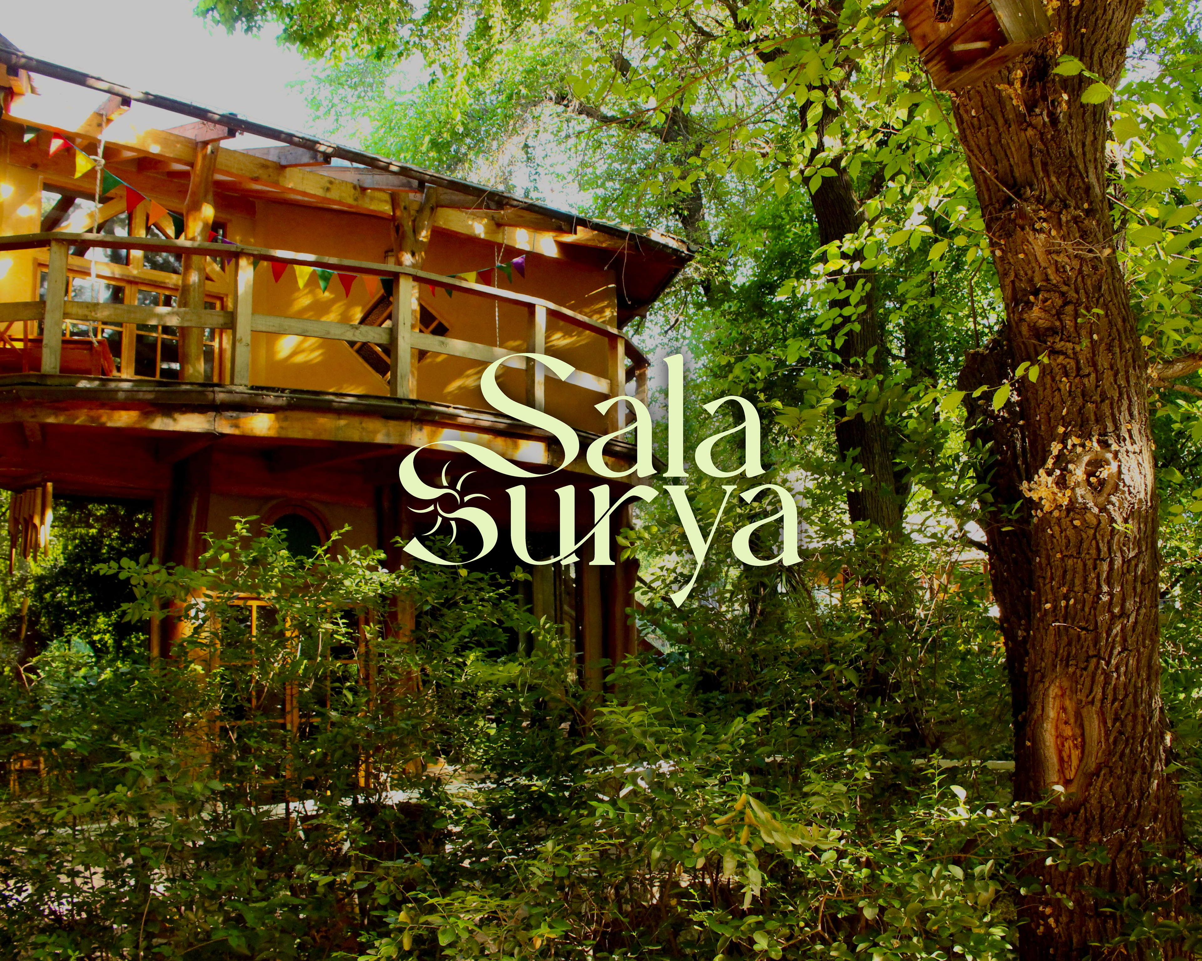 Aplicación del isologo sobre el entorno físico de Sala Surya en el Cajón del Maipo.