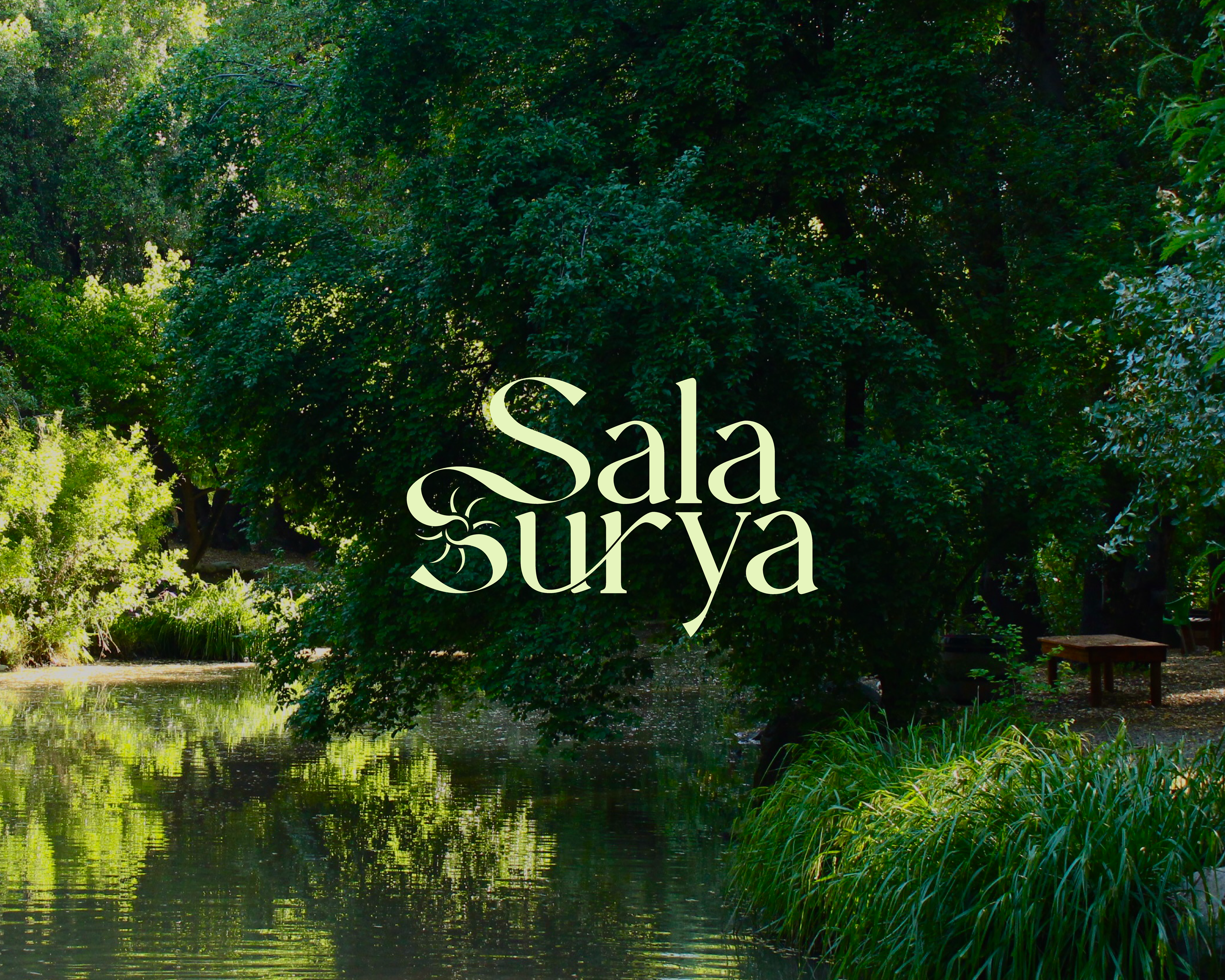 Identidad aplicada al paisaje natural que da contexto a la experiencia Sala Surya.