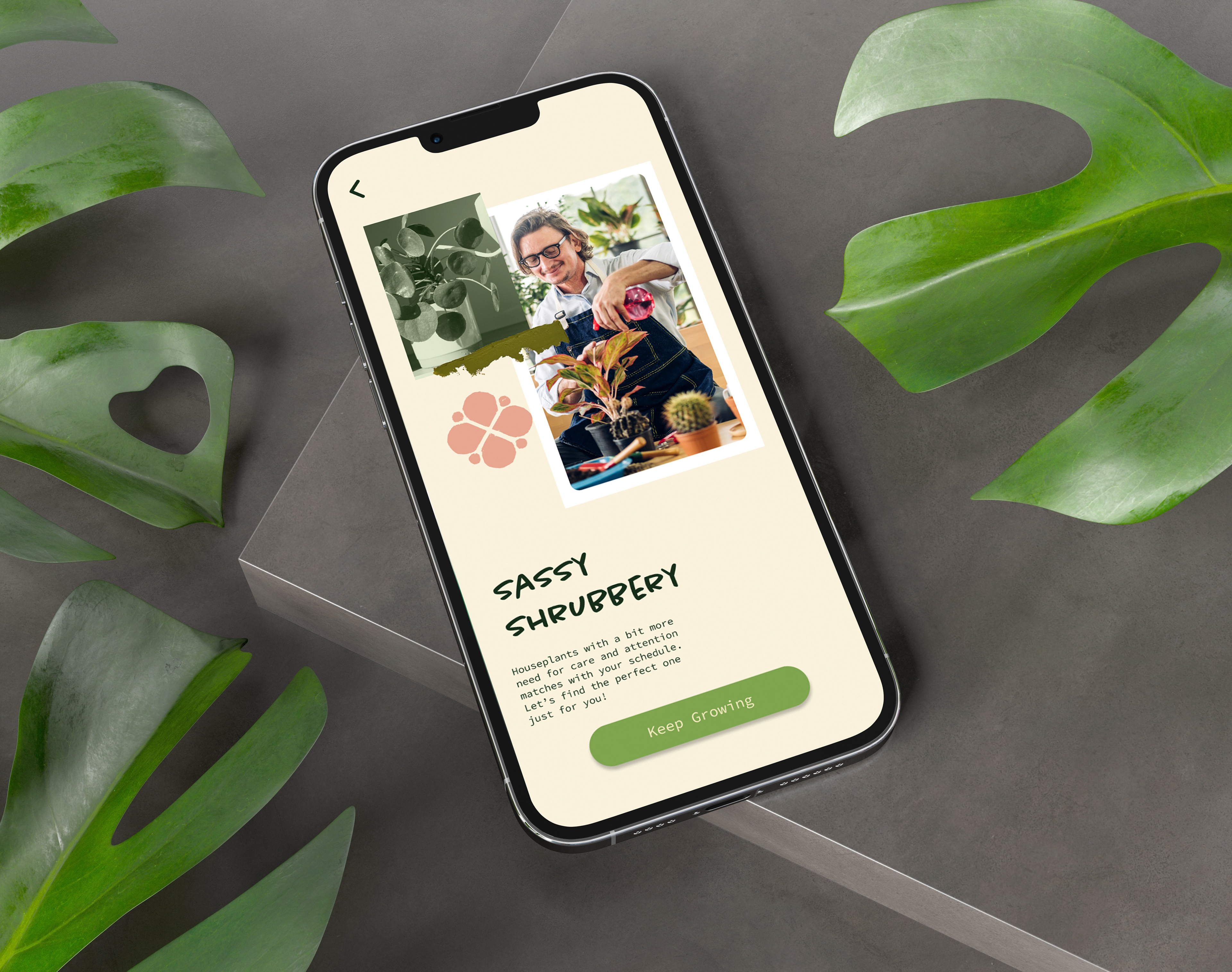 App interface