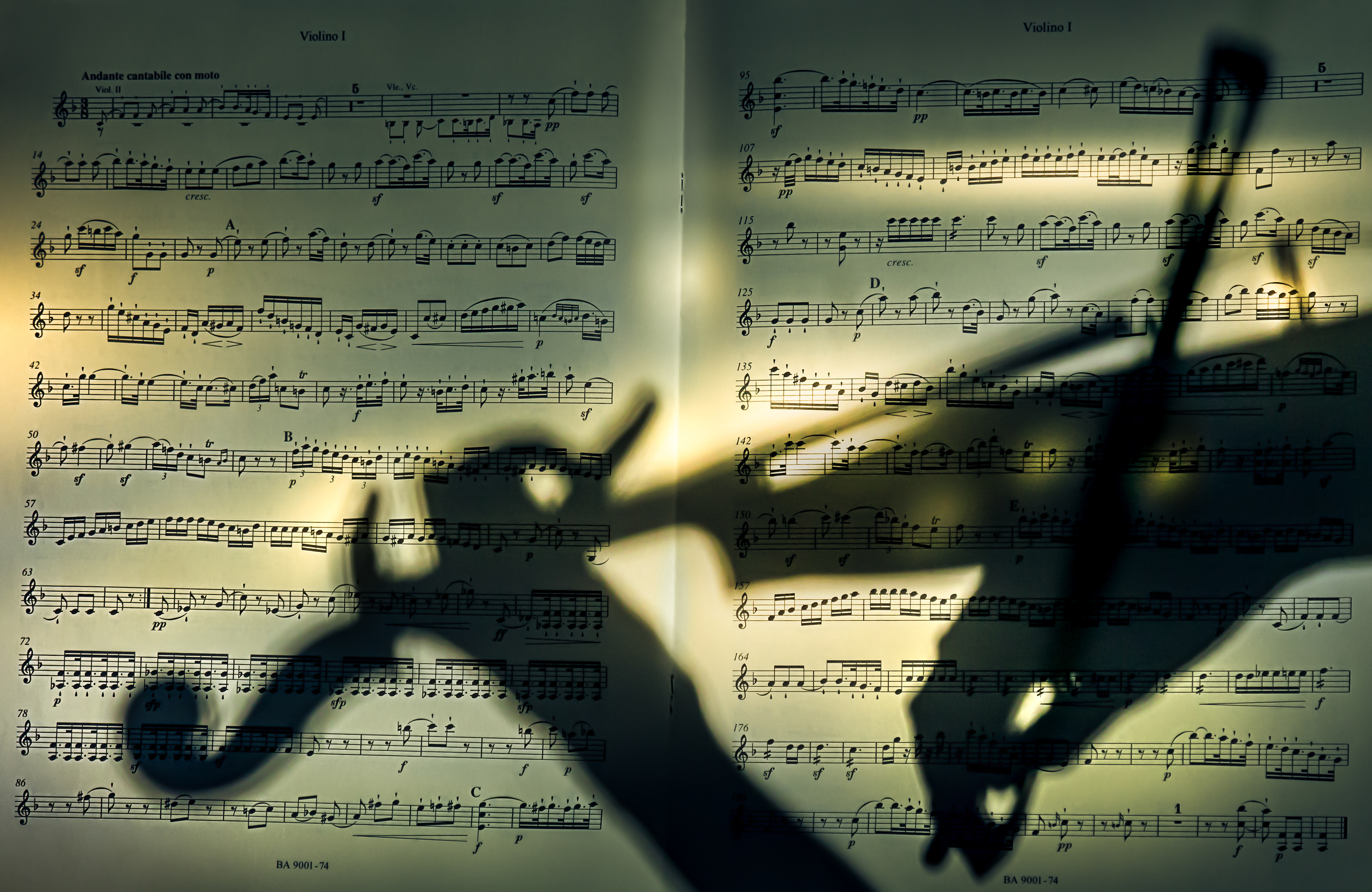 Shadow Violin