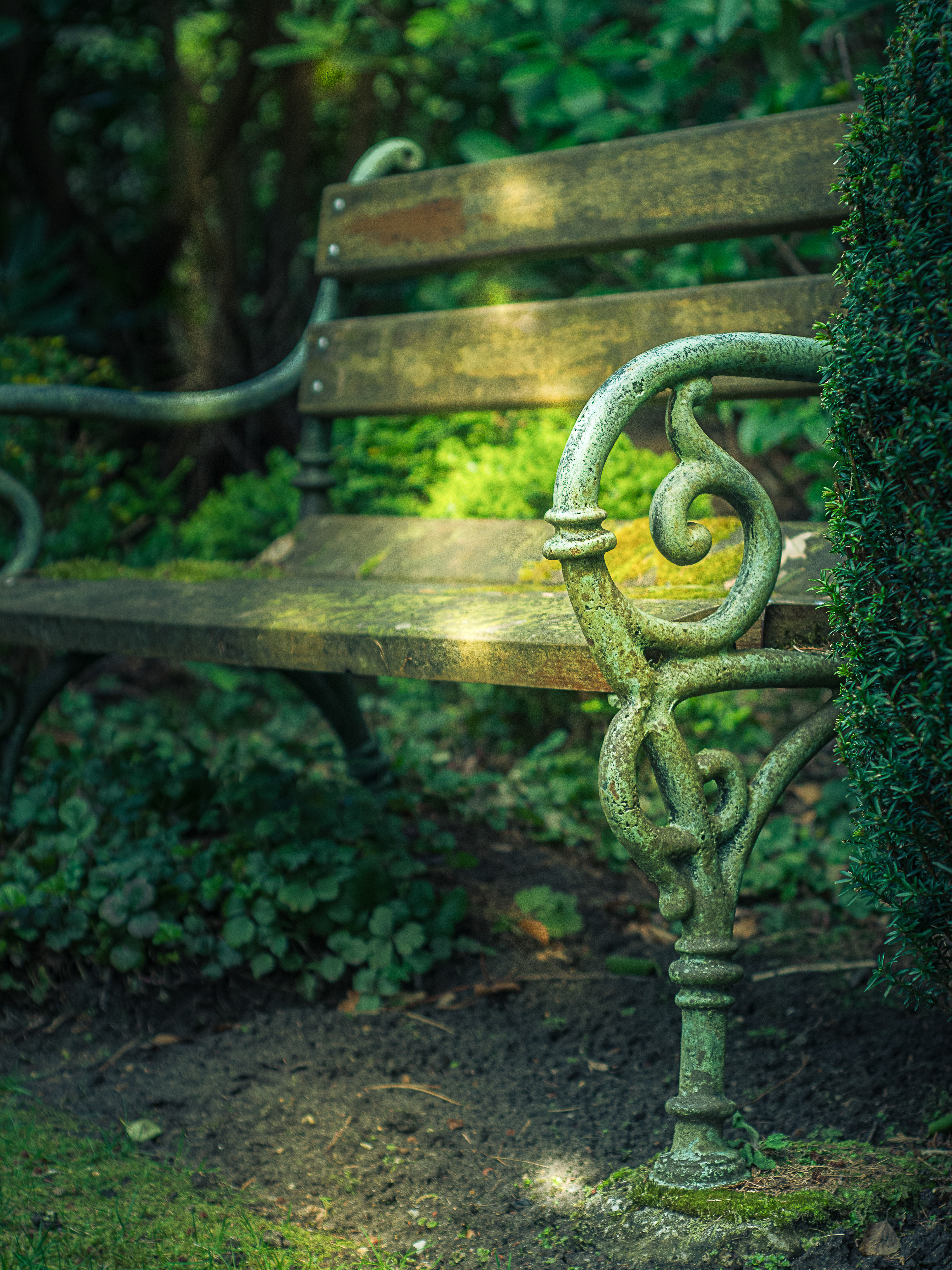 A place to pause