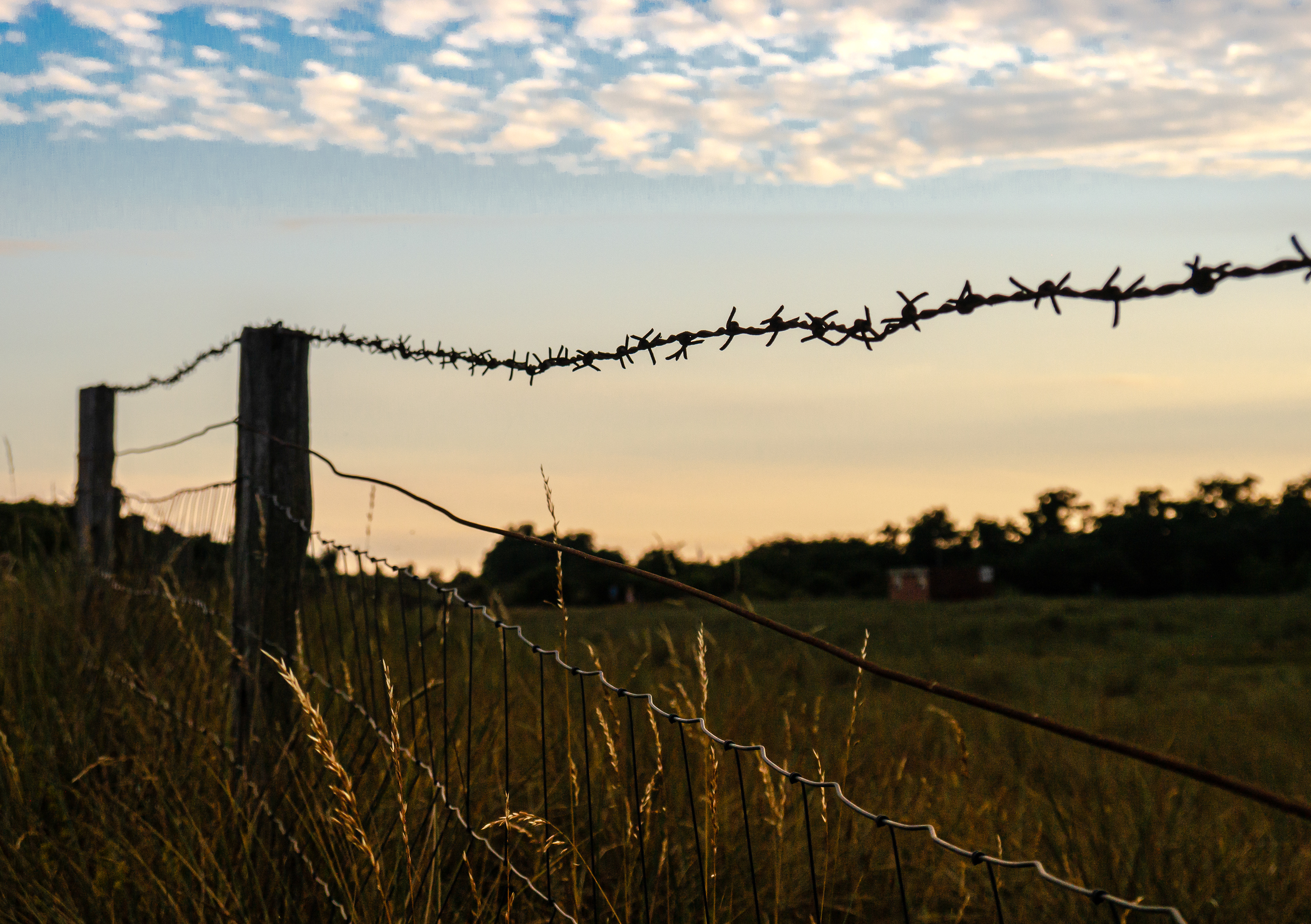 Barbed Wire