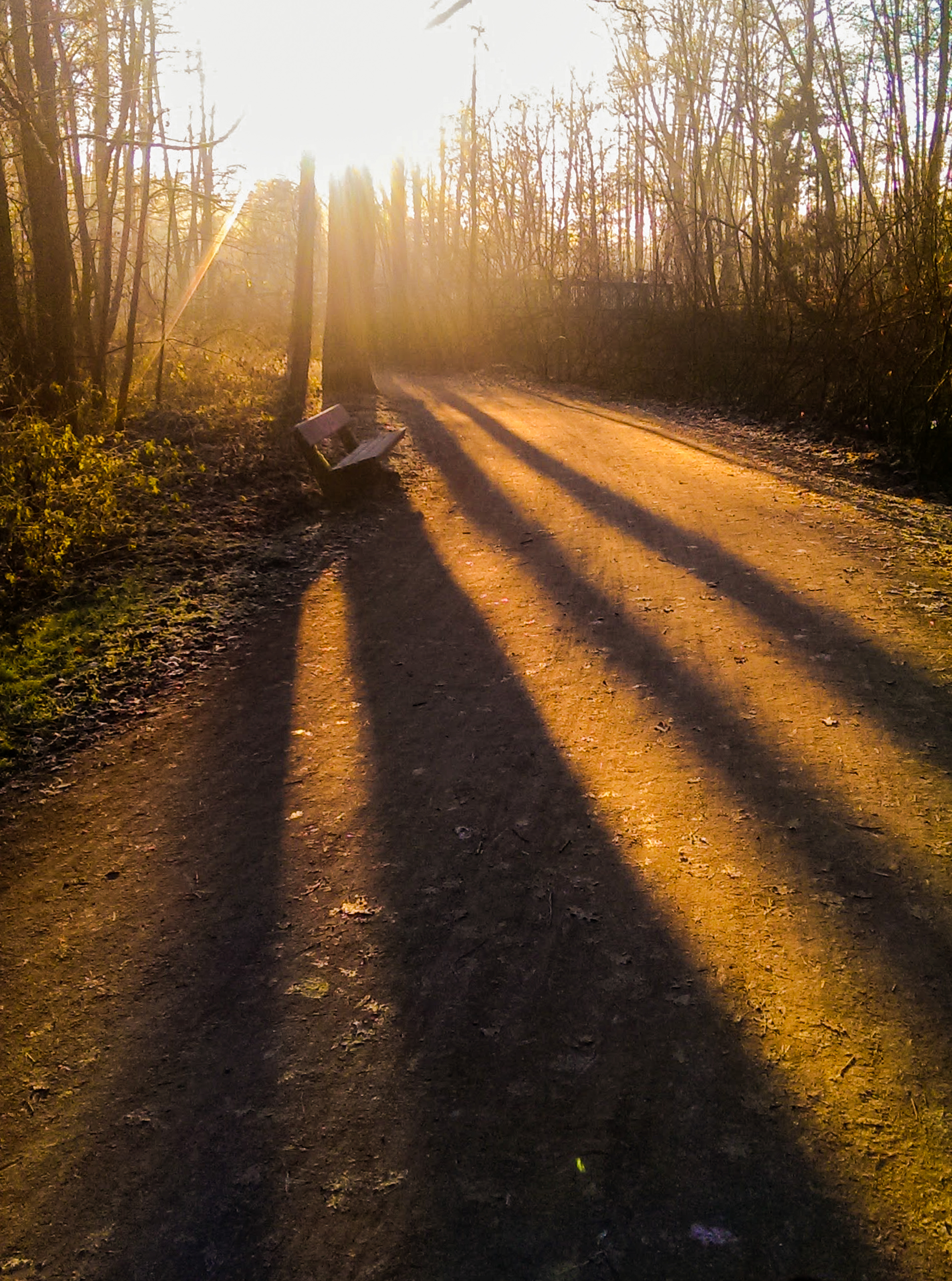 shadows