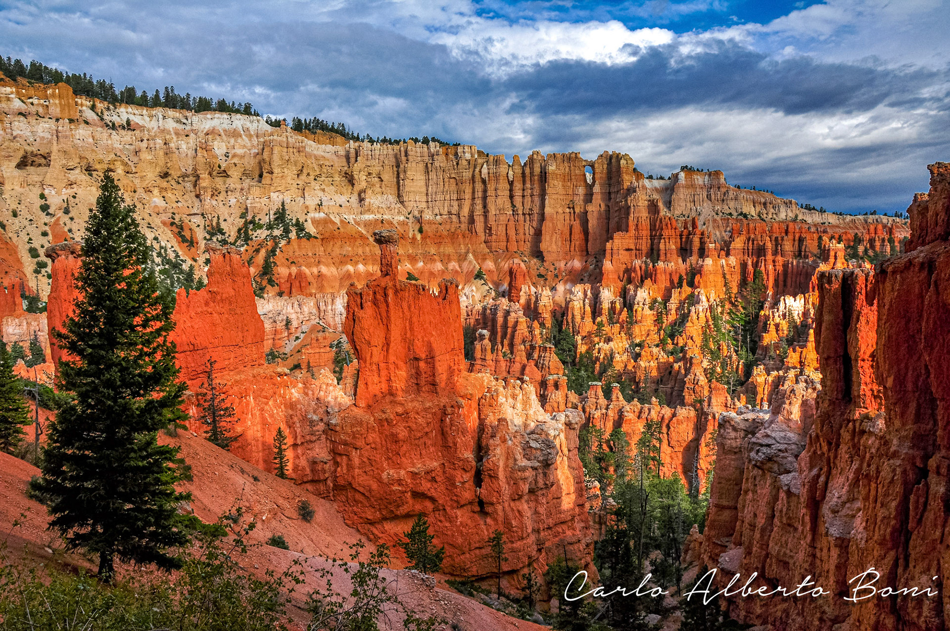 Bryce National Park - USA