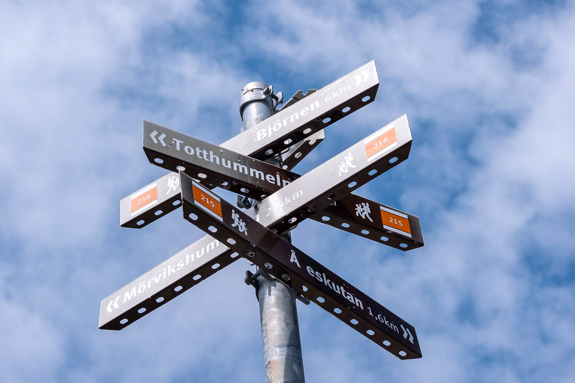 Hiking to Åreskutan from Björnen by the eastern path.
