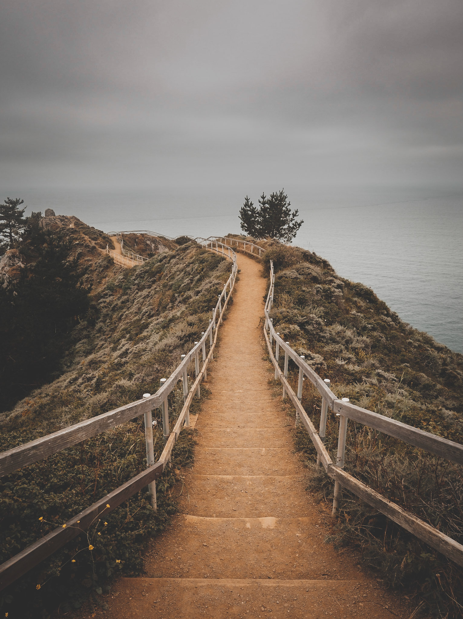 On the way out to Muir Beach Overlook.