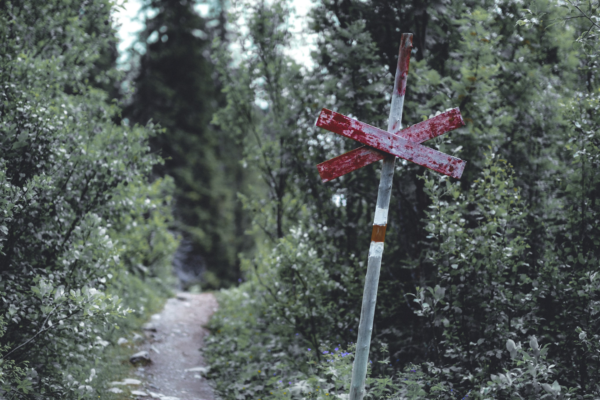 Going on a hike to the top of Totthummeln.