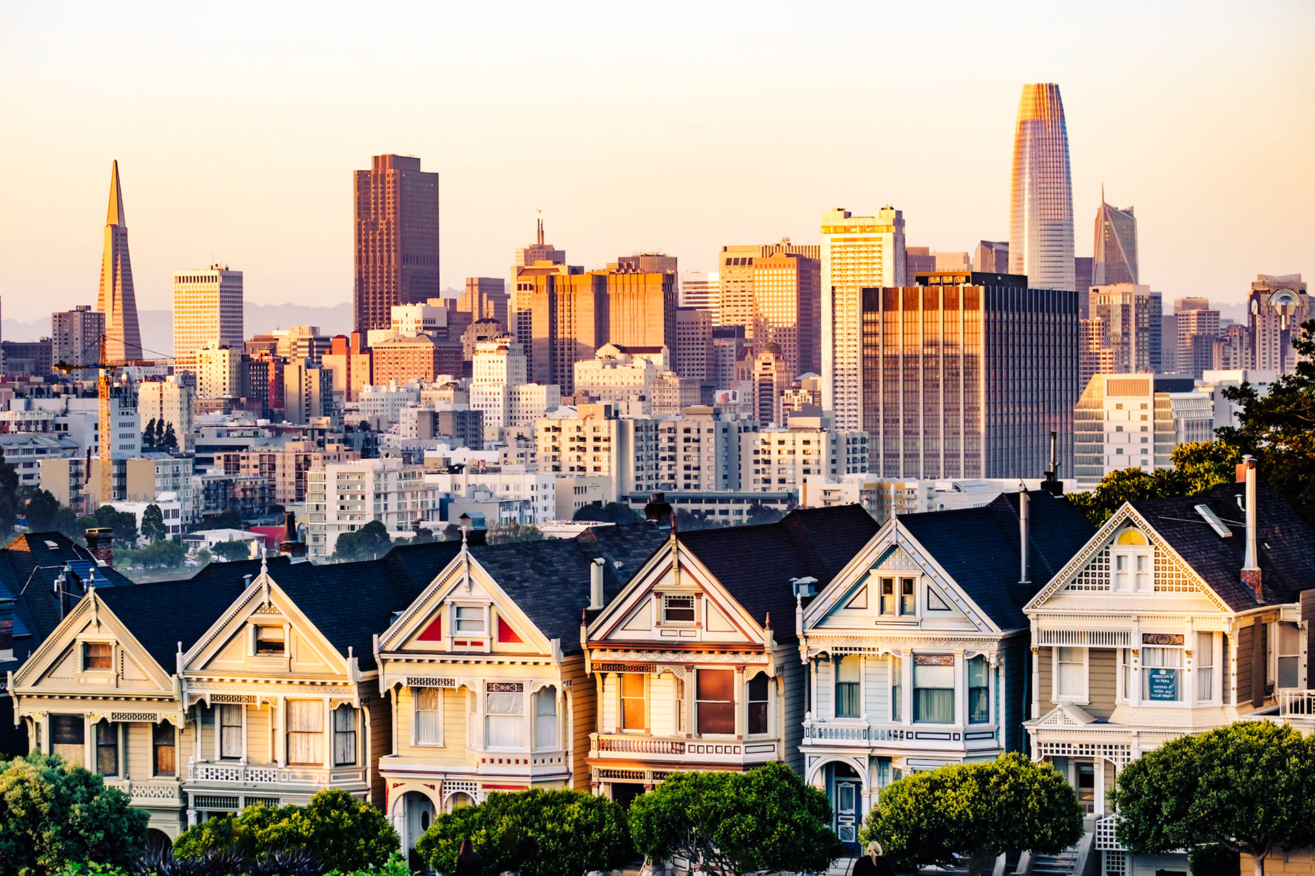 Shown in the Full House TV serie, the Painted lidies.