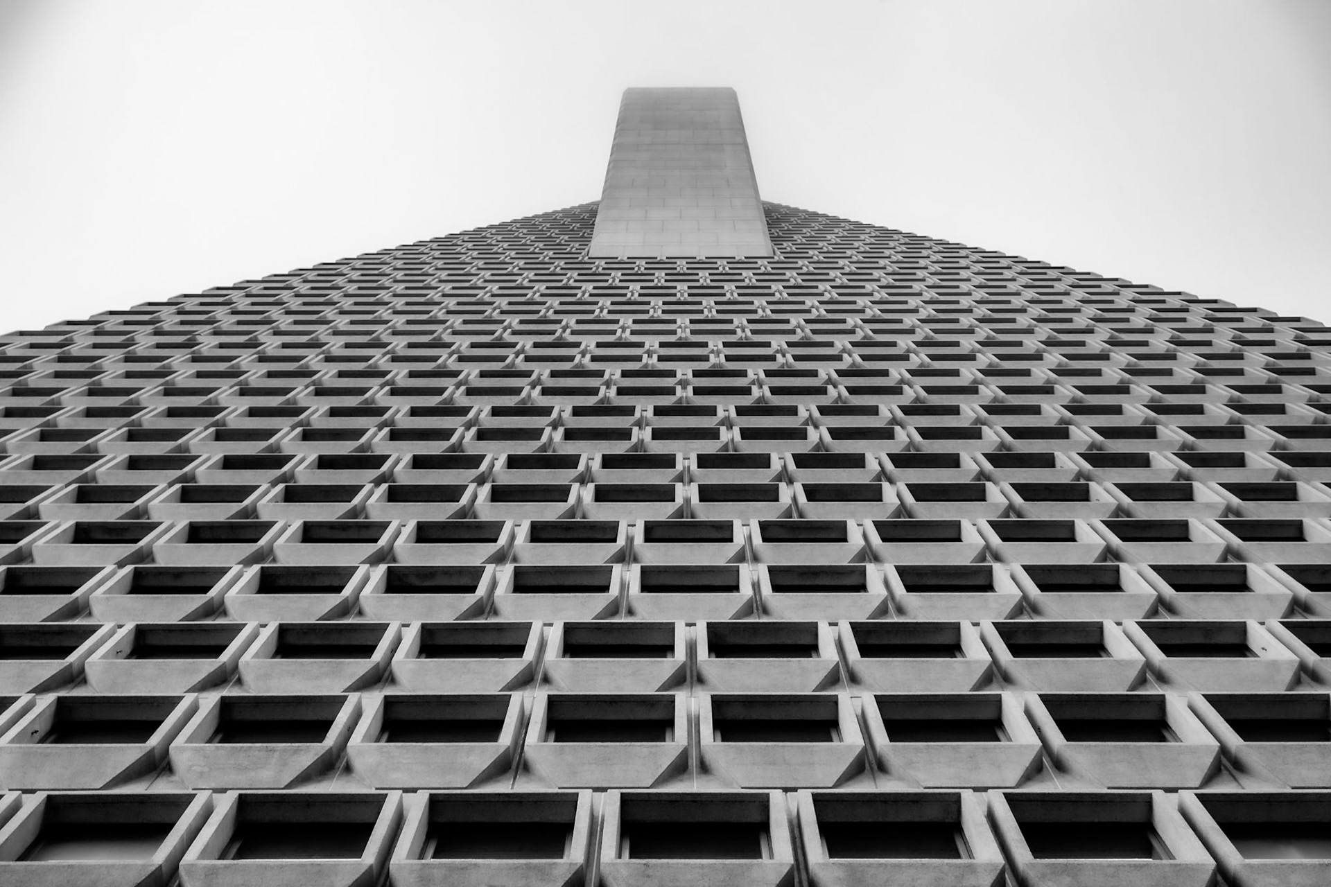 The Transamerica Pyramid up close.
